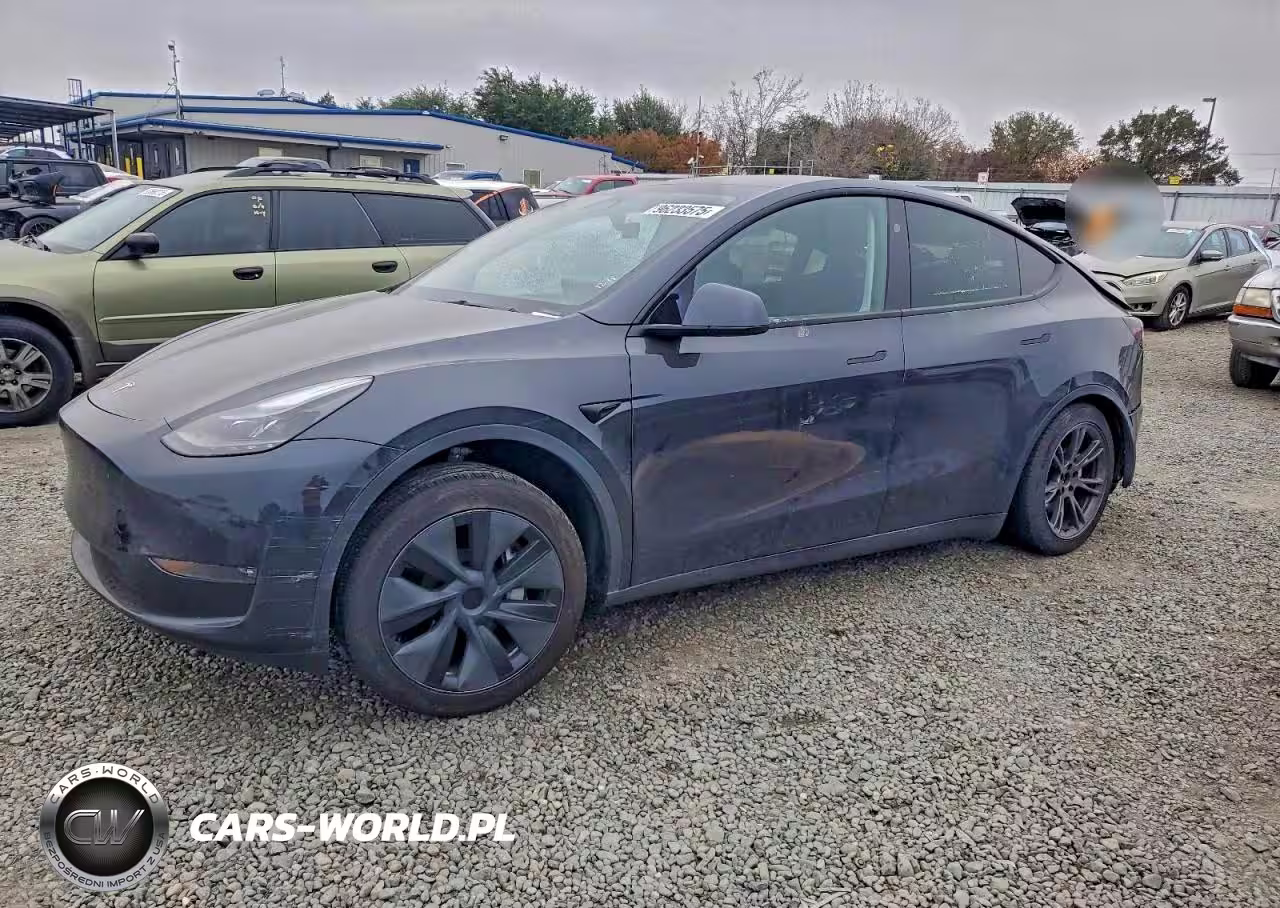 2024 Tesla Model Y