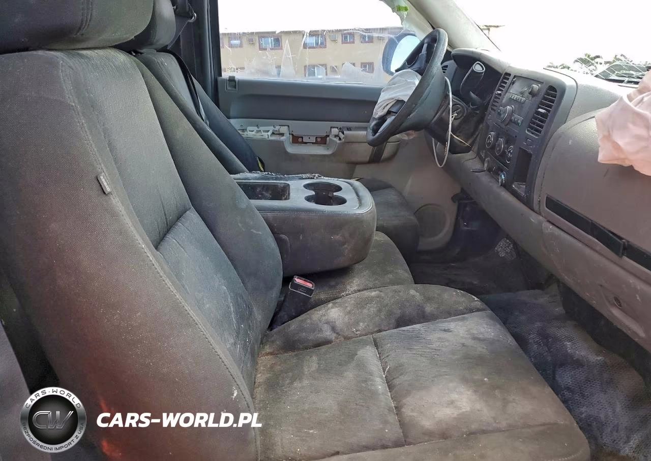 2013 Chevrolet Silverado C1500 VIN:1GCNCPEX1DZ379393 - 10