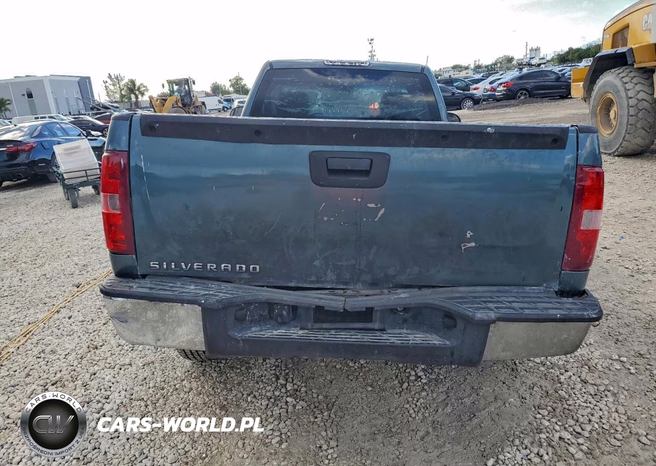 2013 Chevrolet Silverado C1500 VIN:1GCNCPEX1DZ379393 - 6