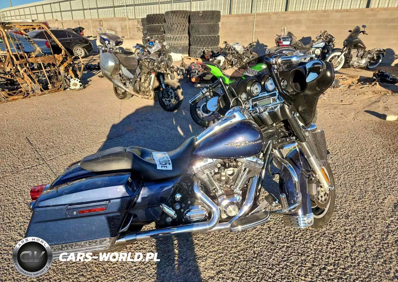 2009 Harley-Davidson Flhx