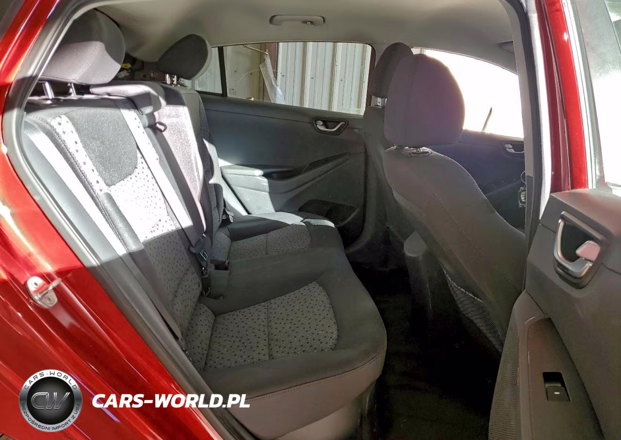 2019 Hyundai Ioniq Sel VIN:KMHC75LC2KU123219 - 10