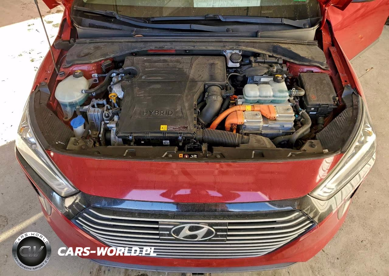 2019 Hyundai Ioniq Sel VIN:KMHC75LC2KU123219 - 11