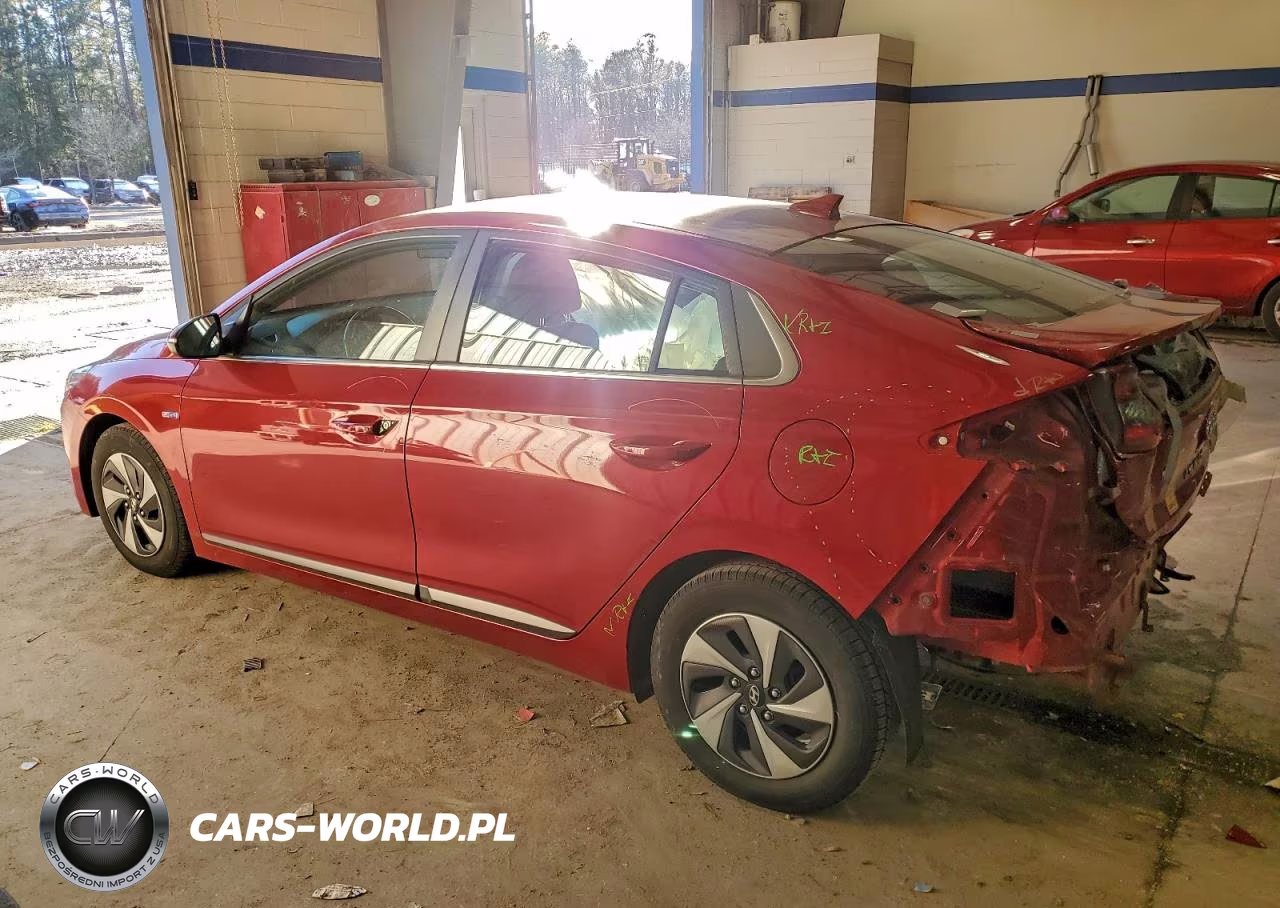2019 Hyundai Ioniq Sel VIN:KMHC75LC2KU123219 - 2