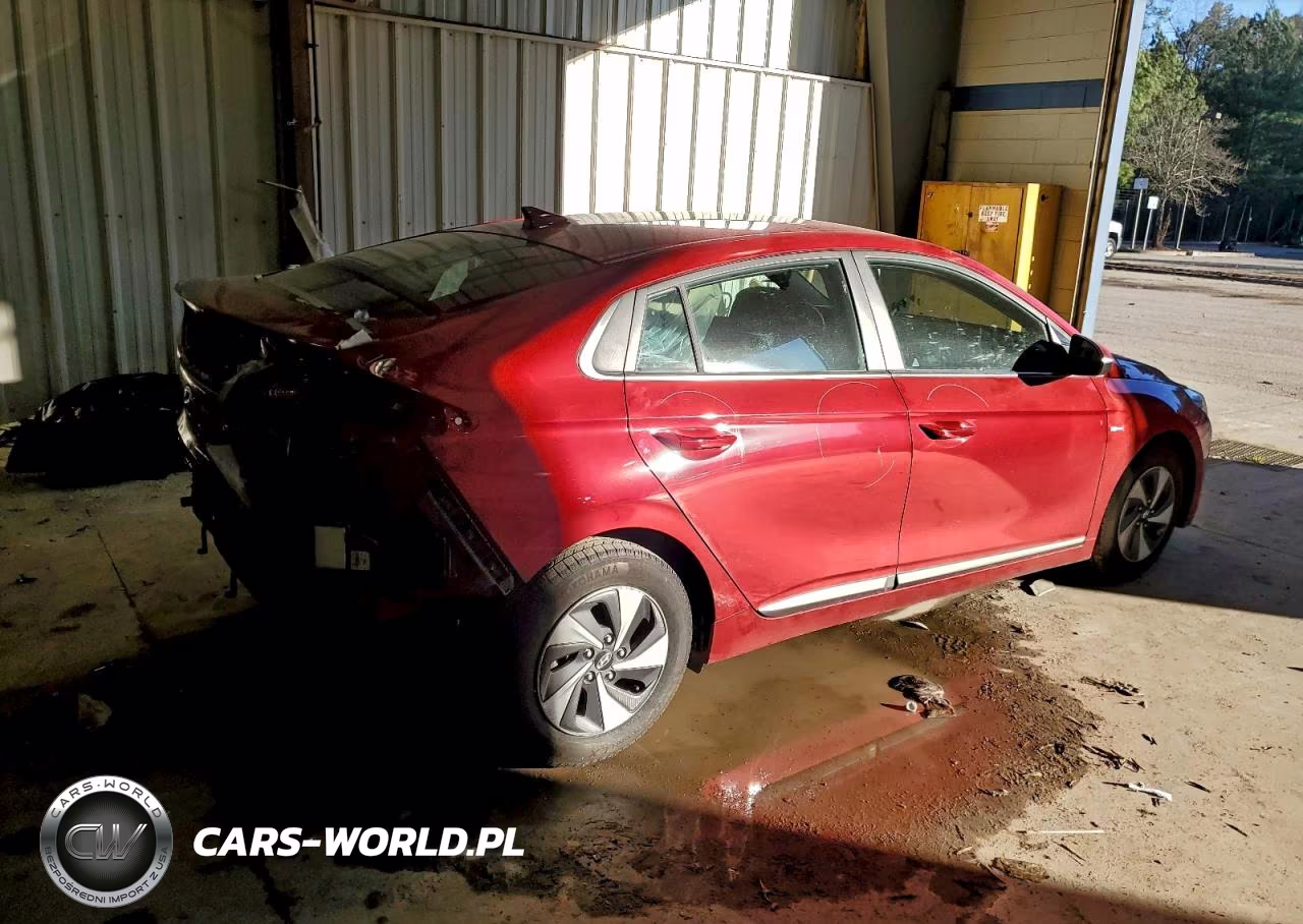 2019 Hyundai Ioniq Sel VIN:KMHC75LC2KU123219 - 3