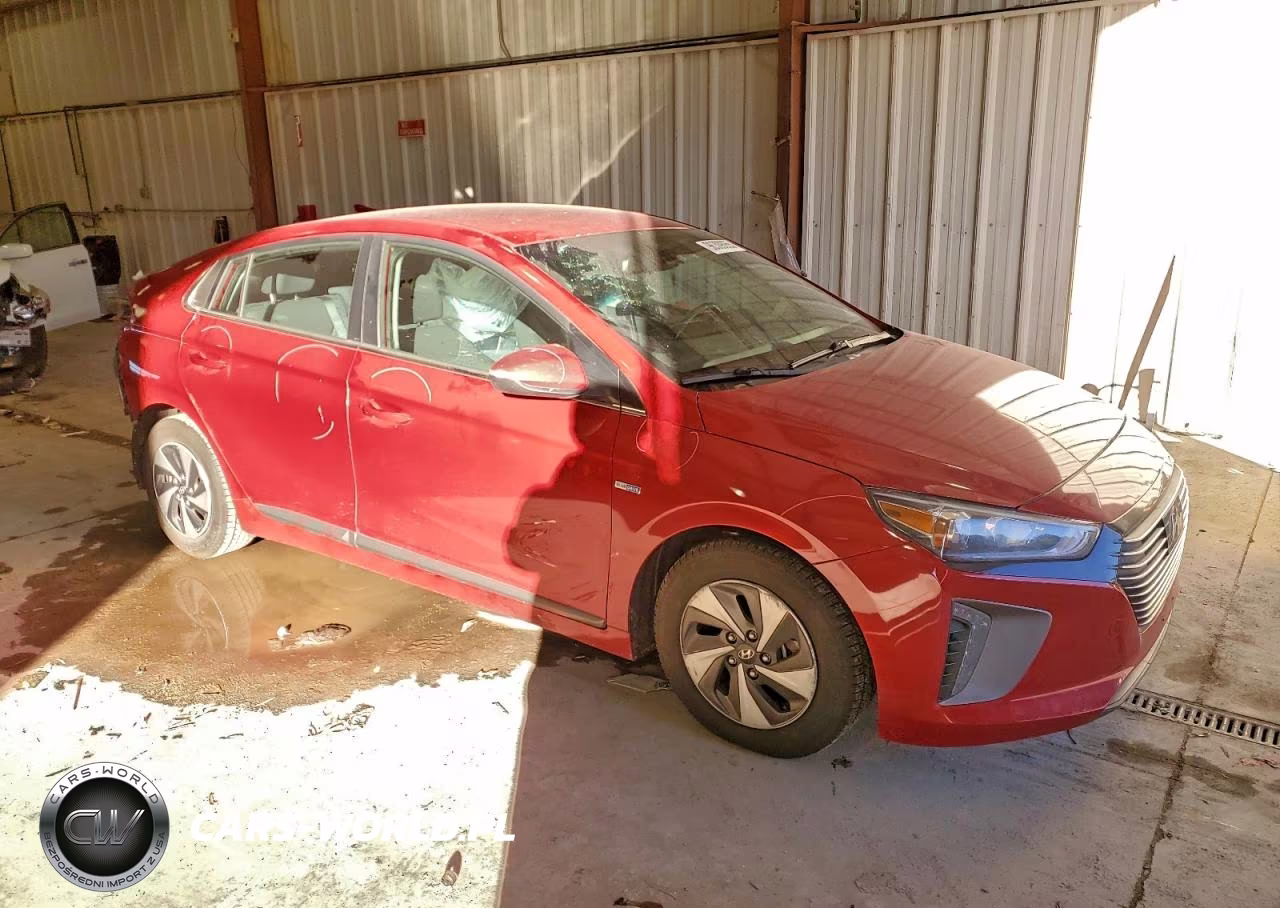2019 Hyundai Ioniq Sel VIN:KMHC75LC2KU123219 - 4