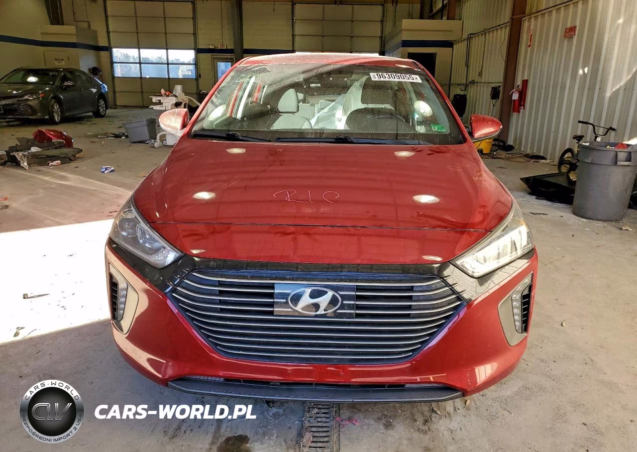 2019 Hyundai Ioniq Sel VIN:KMHC75LC2KU123219 - 5