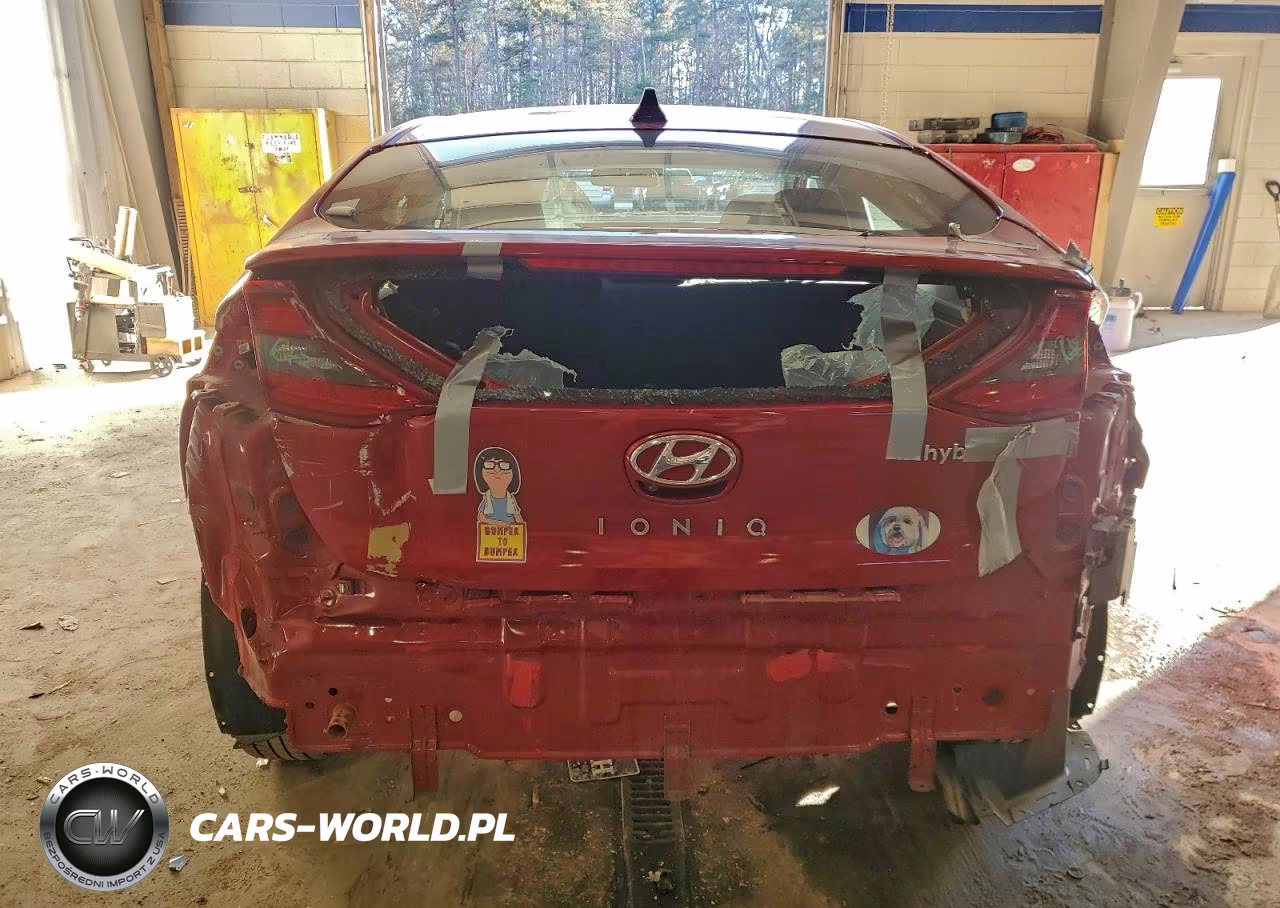 2019 Hyundai Ioniq Sel VIN:KMHC75LC2KU123219 - 6