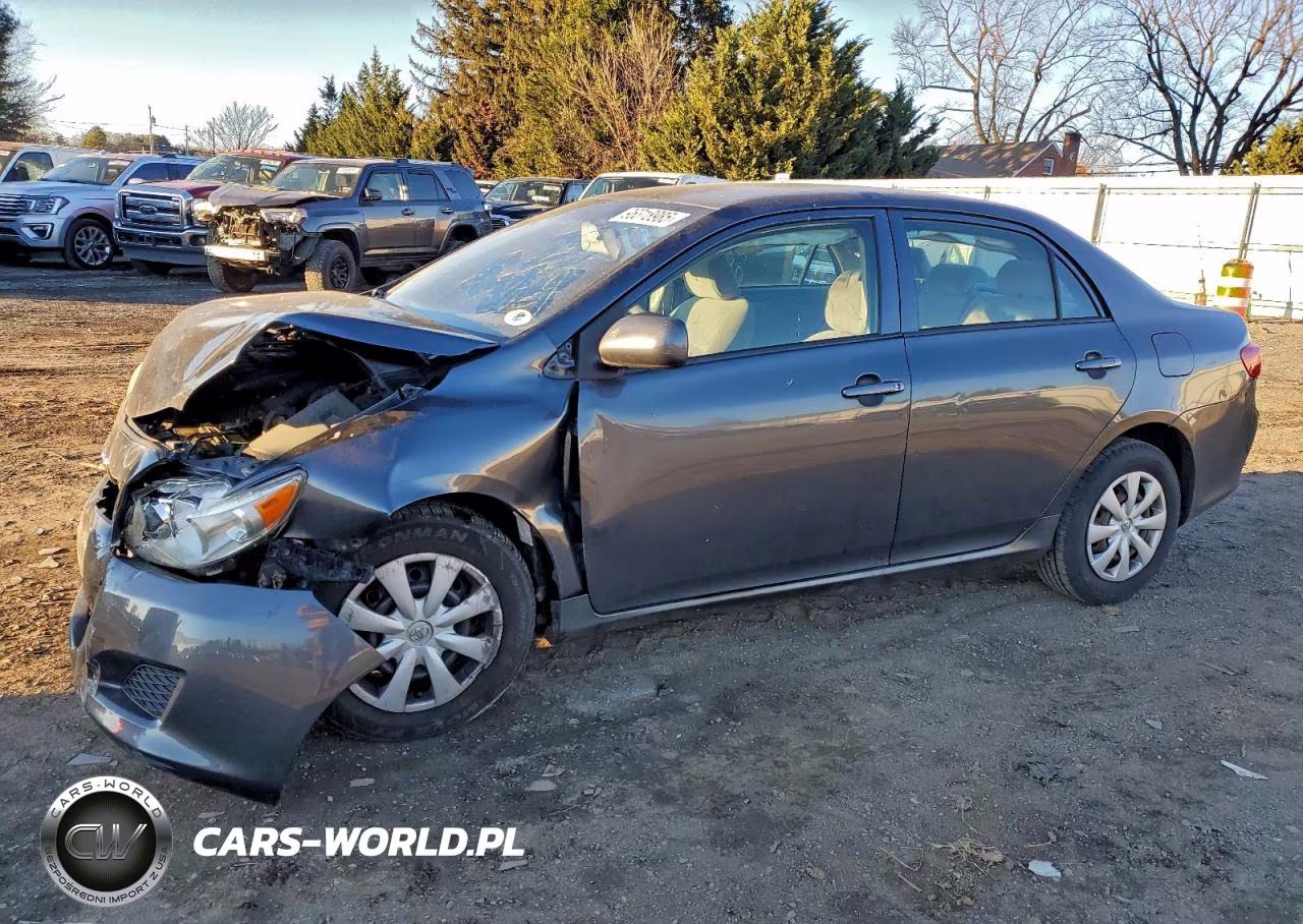 2010 Toyota Corolla Base