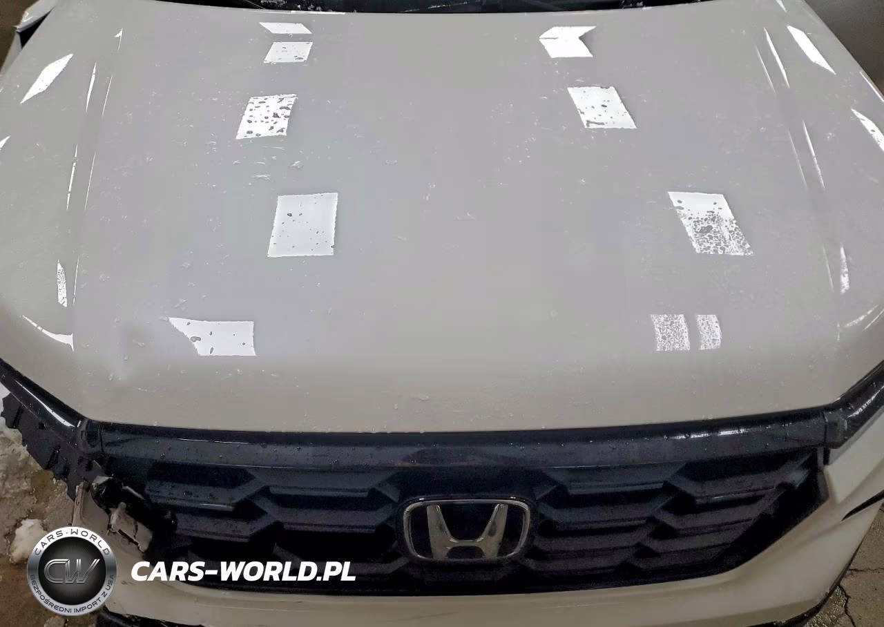 2025 Honda Pilot Sport VIN:5FNYG1H35SB020039 - 12