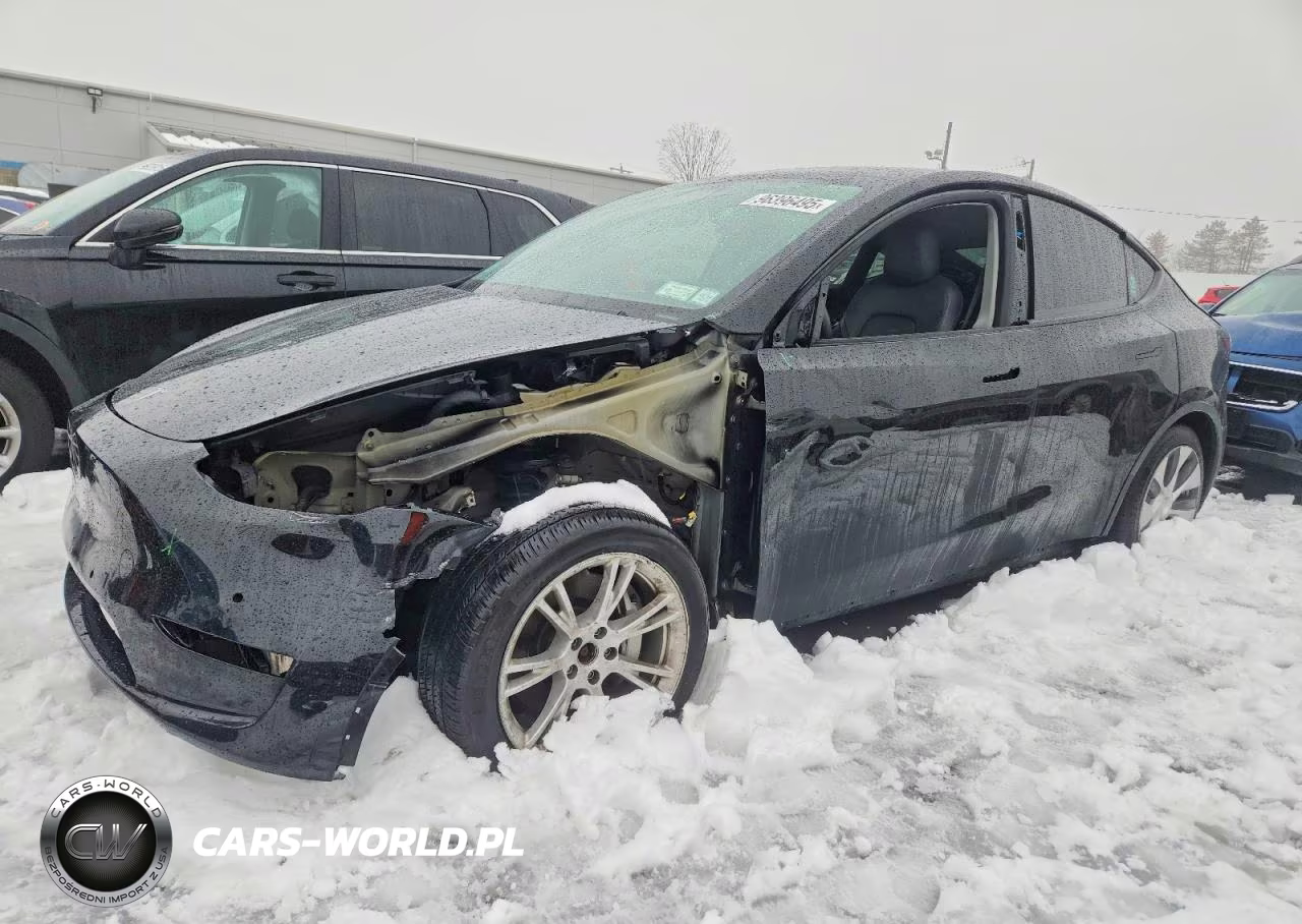 2020 Tesla Model Y