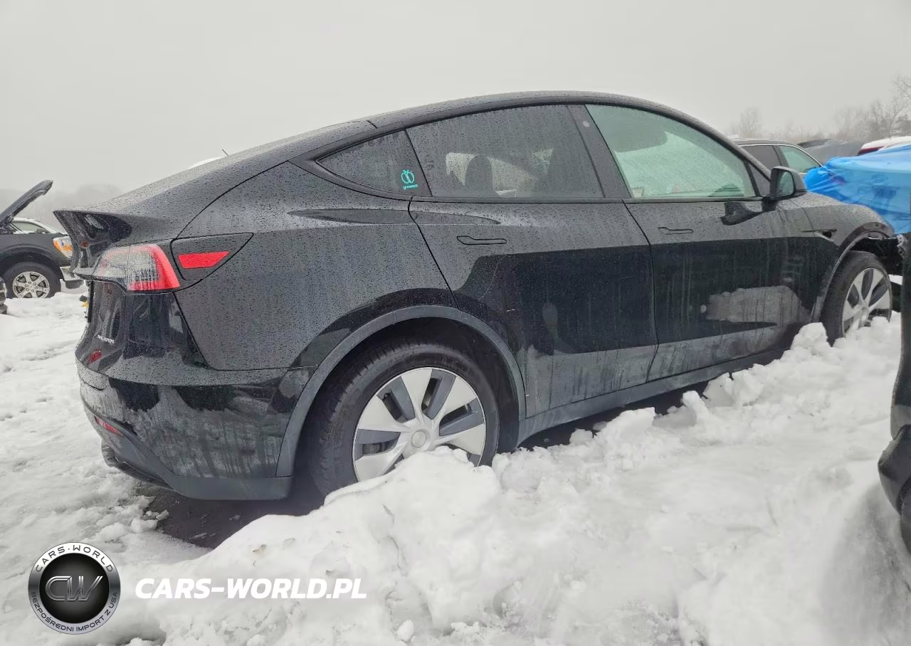 2020 Tesla Model Y VIN:5YJYGDEE6LF047811 - 3