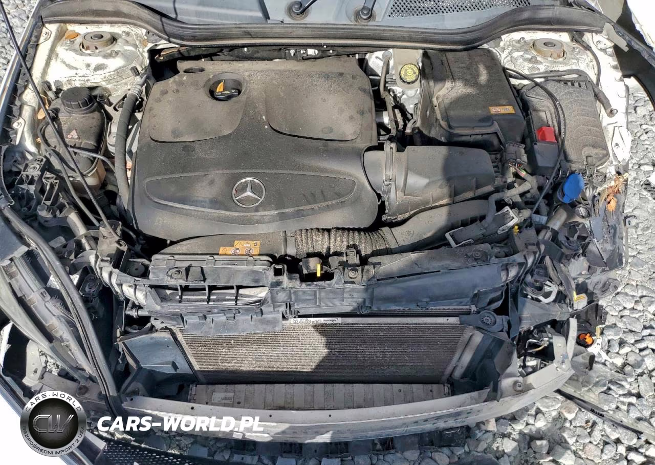 2015 Mercedes-Benz Cla 250 VIN:WDDSJ4EB3FN253824 - 11