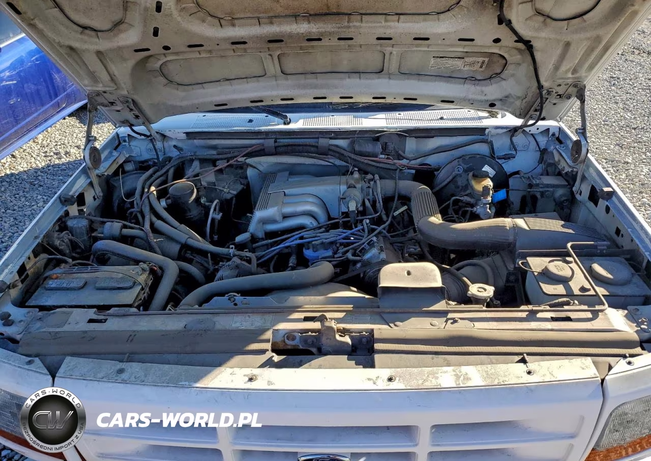 1994 Ford F150 VIN:1FTDF15R3RLB30475 - 11