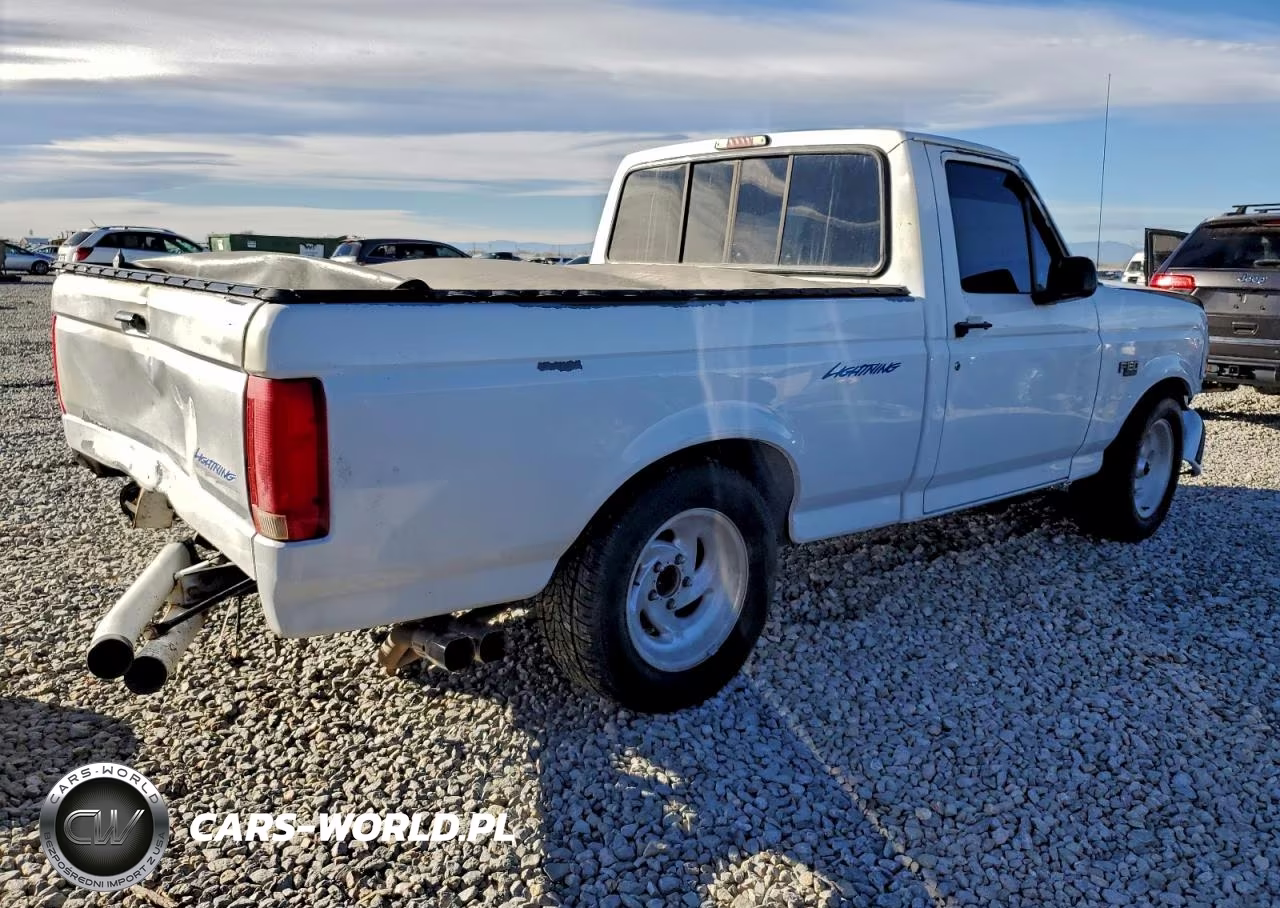1994 Ford F150 VIN:1FTDF15R3RLB30475 - 3