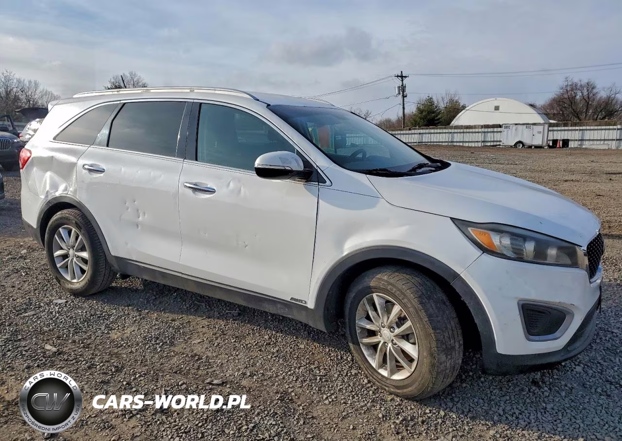 2016 Kia Sorento Lx VIN:5XYPGDA32GG108859 - 4