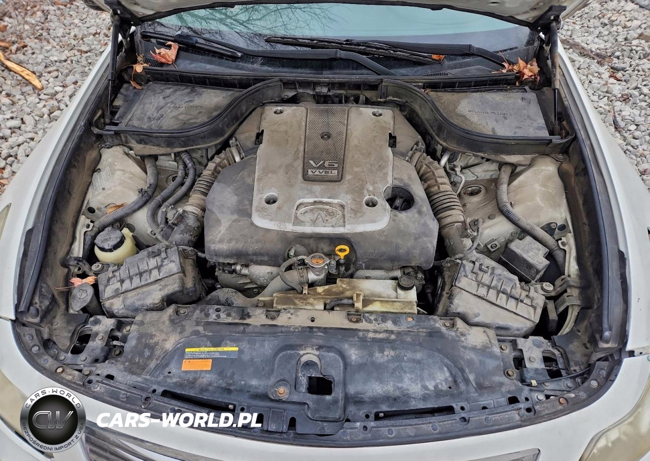 2009 Infiniti G37 Base VIN:JNKCV61E19M011086 - 11