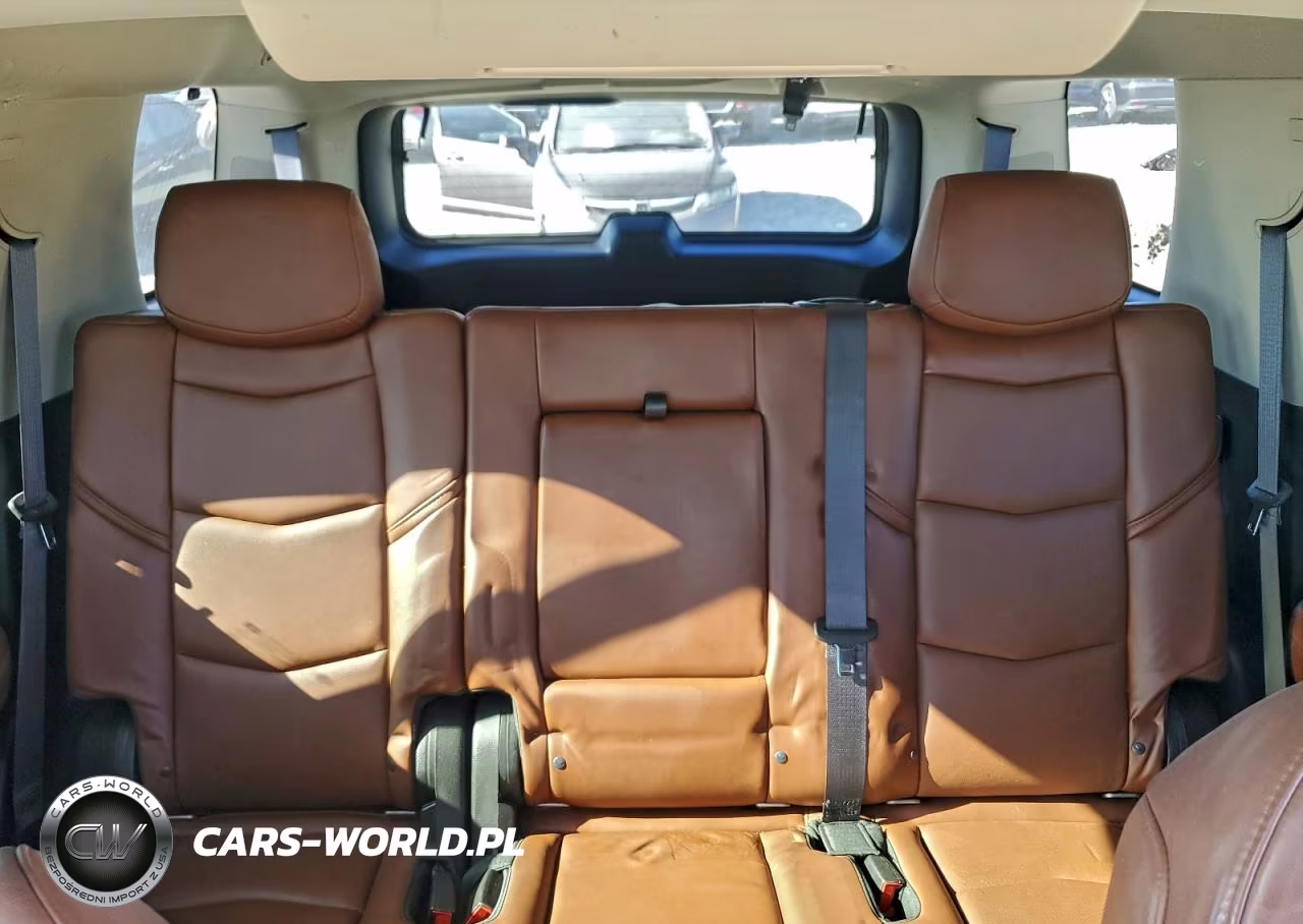 2015 Cadillac Escalade Premium VIN:1GYS3NKJ9FR711343 - 10