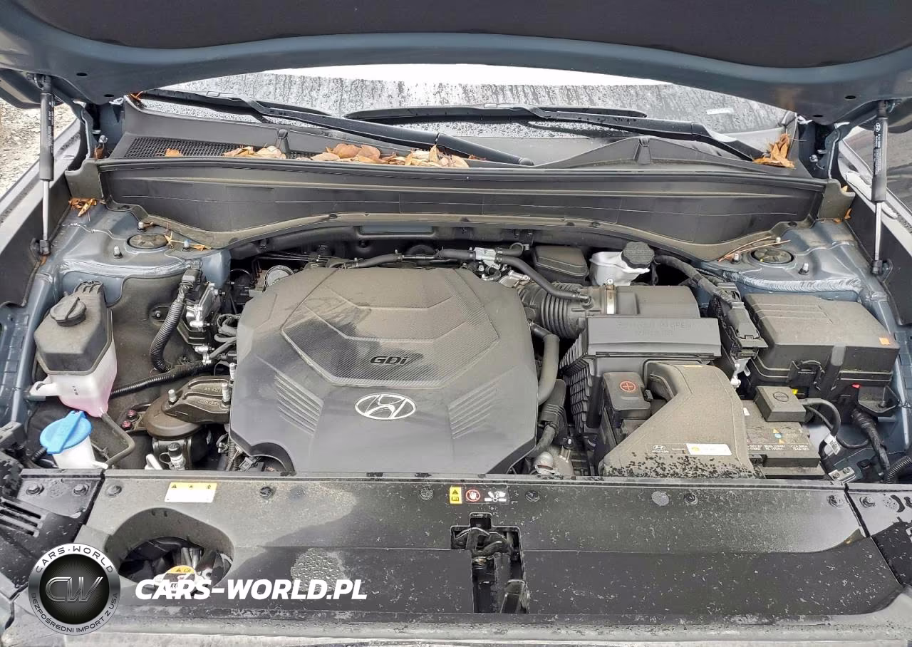 2024 Hyundai Palisade Limited VIN:KM8R54GE9RU758275 - 12