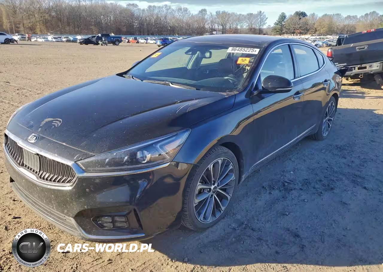 2019 Kia Cadenza Luxury