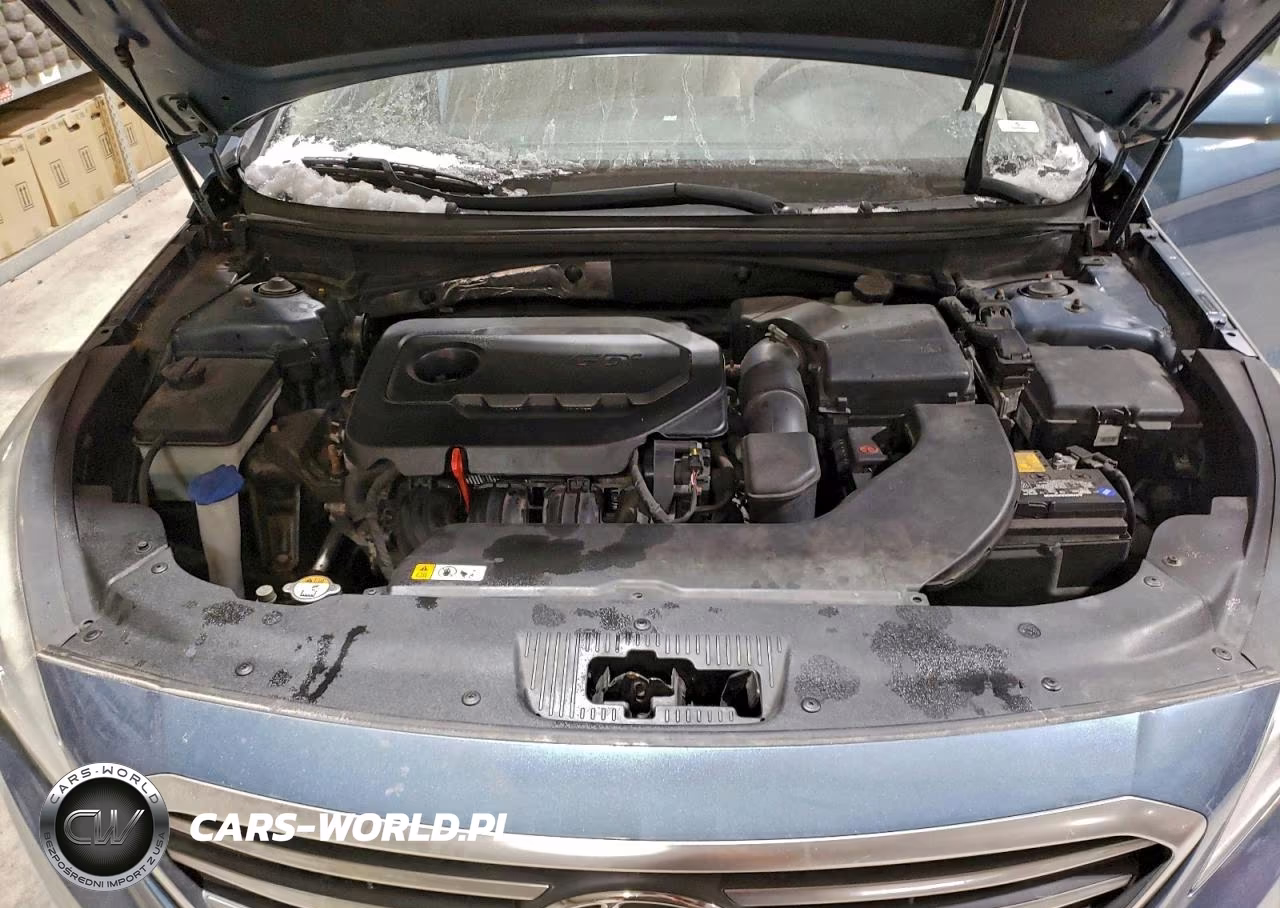 2015 Hyundai Sonata Se VIN:5NPE24AFXFH230554 - 11