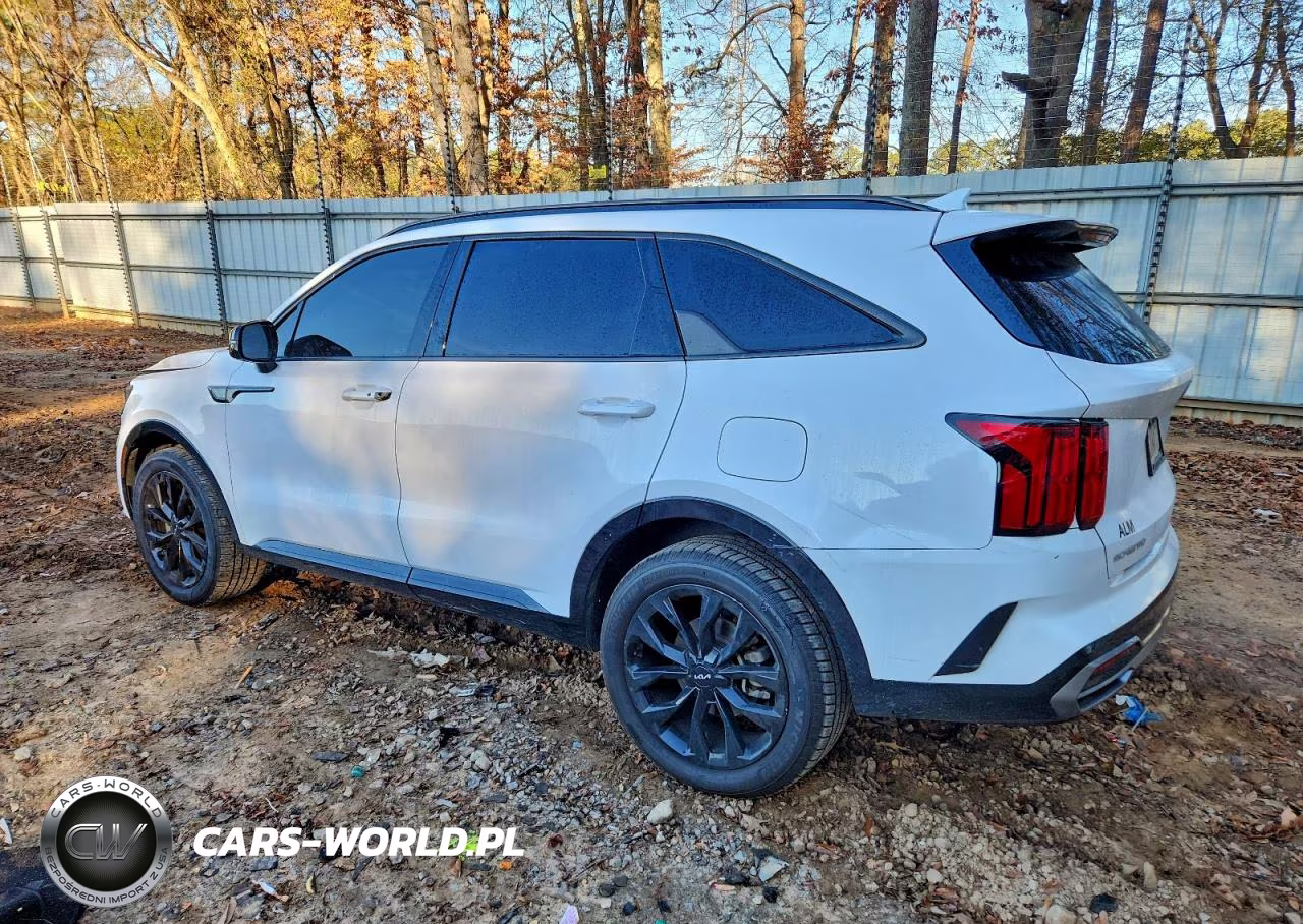 2023 Kia Sorento Sx VIN:5XYRKDLF5PG204841 - 2