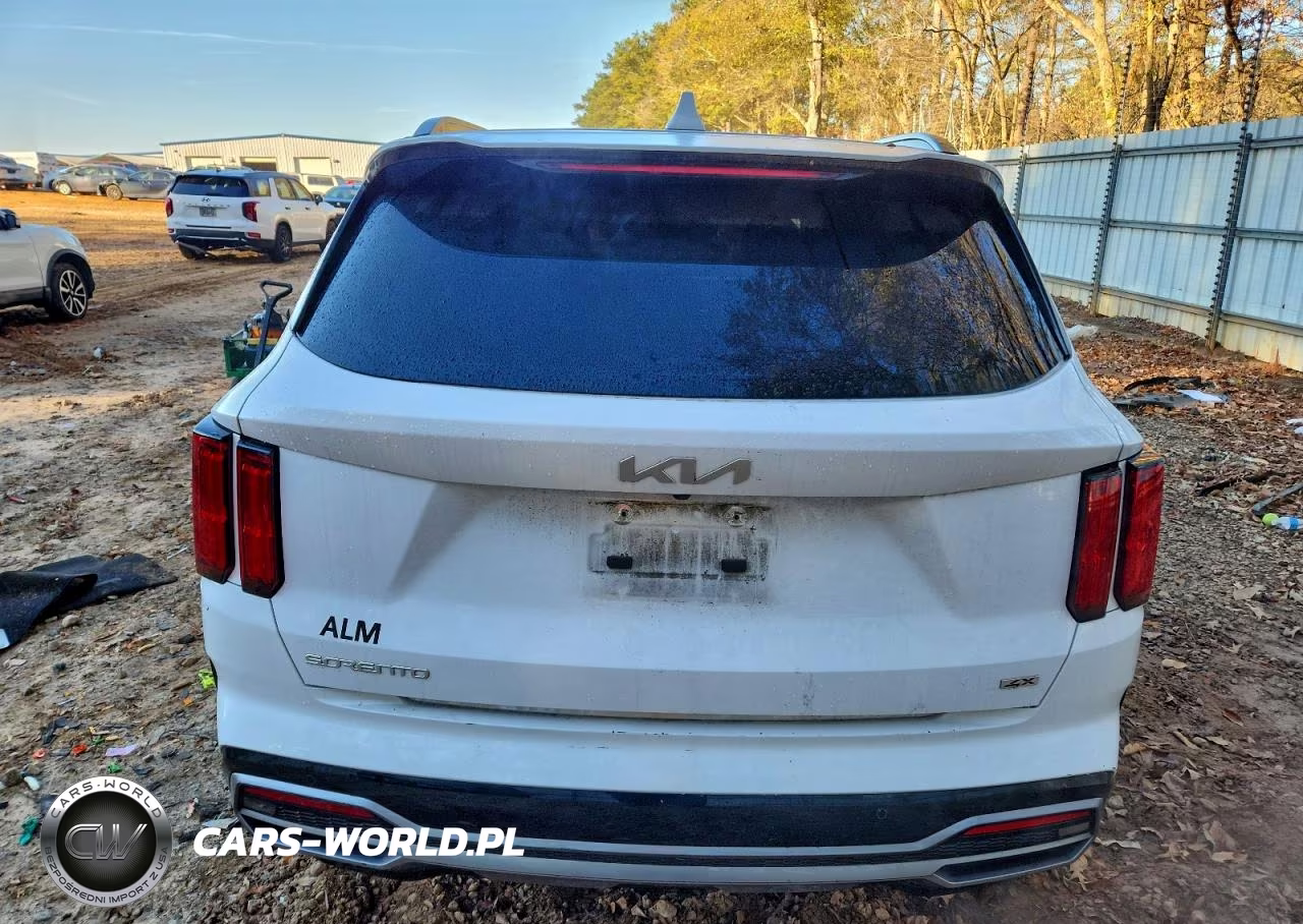 2023 Kia Sorento Sx VIN:5XYRKDLF5PG204841 - 6