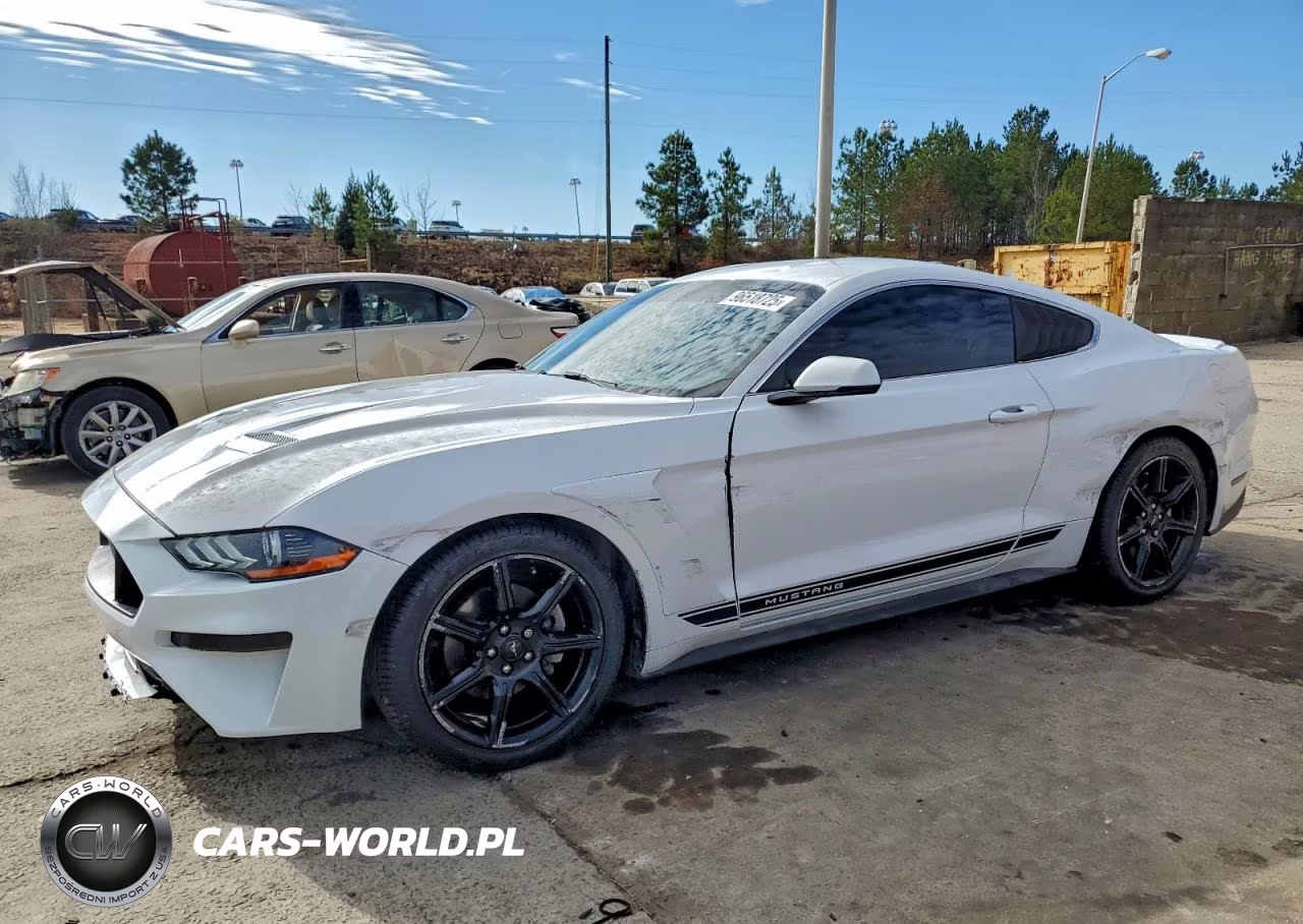2019 Ford Mustang – zdjęcie 1 z 12