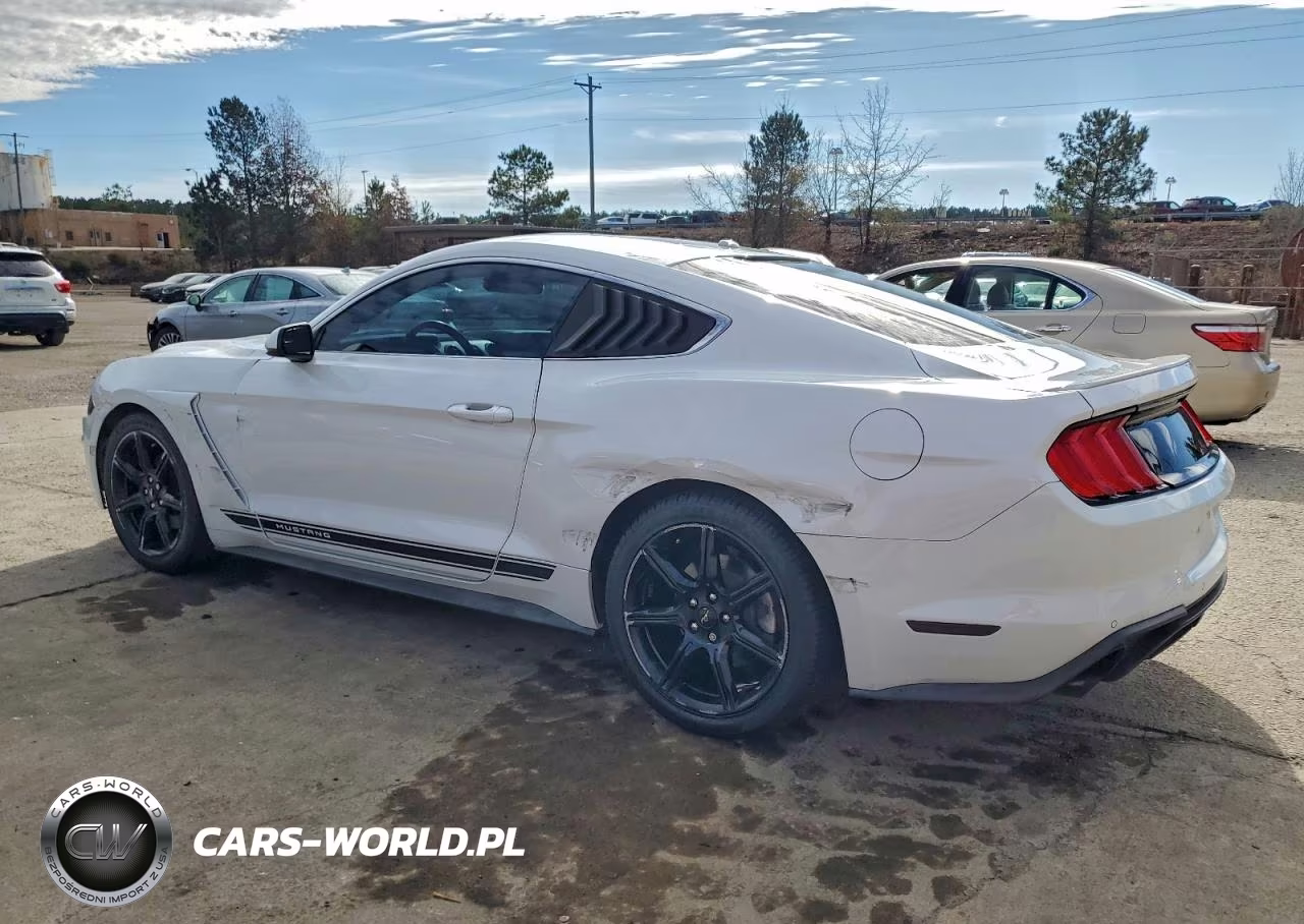 2019 Ford Mustang VIN:1FA6P8TH5K5203774 - 2