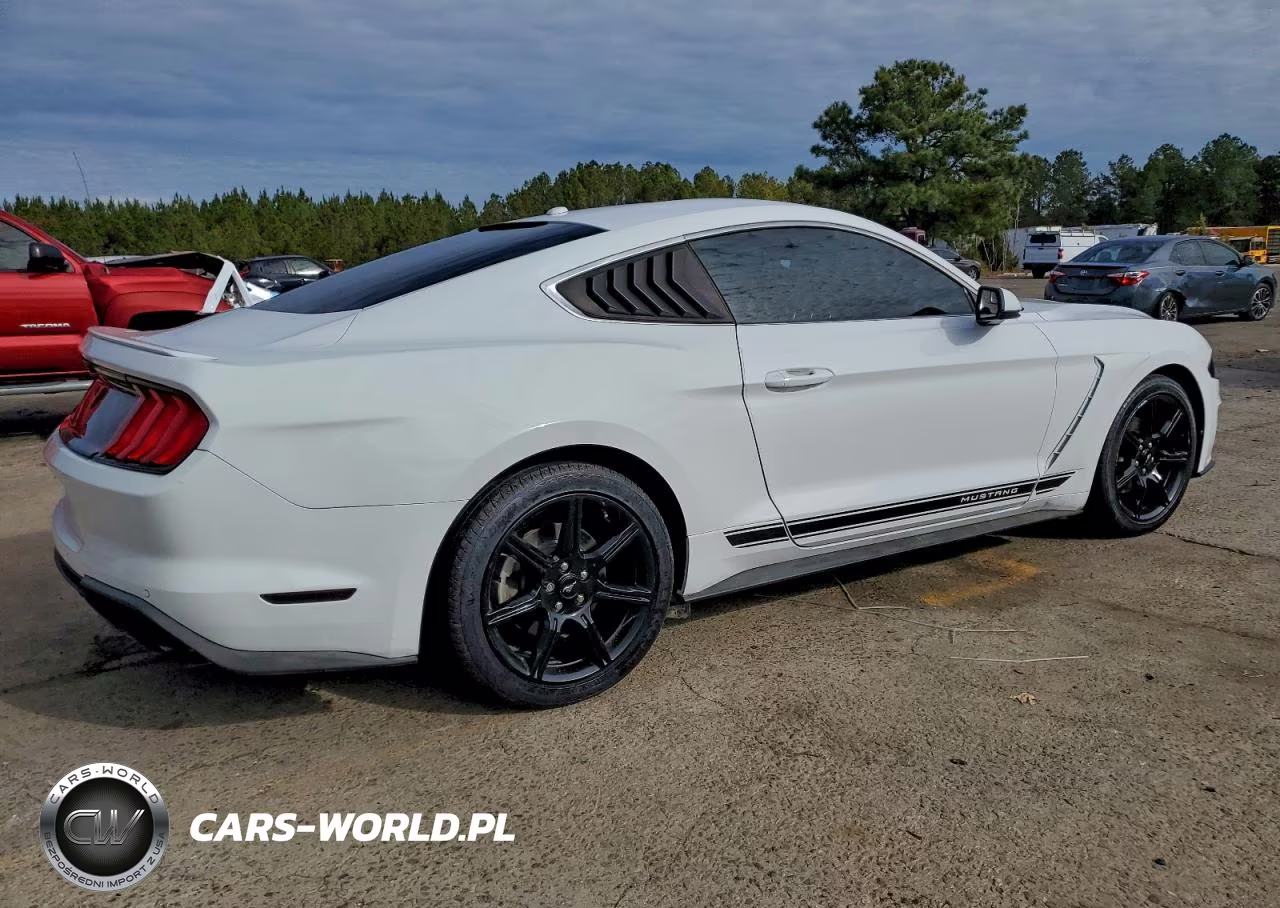 2019 Ford Mustang VIN:1FA6P8TH5K5203774 - 3