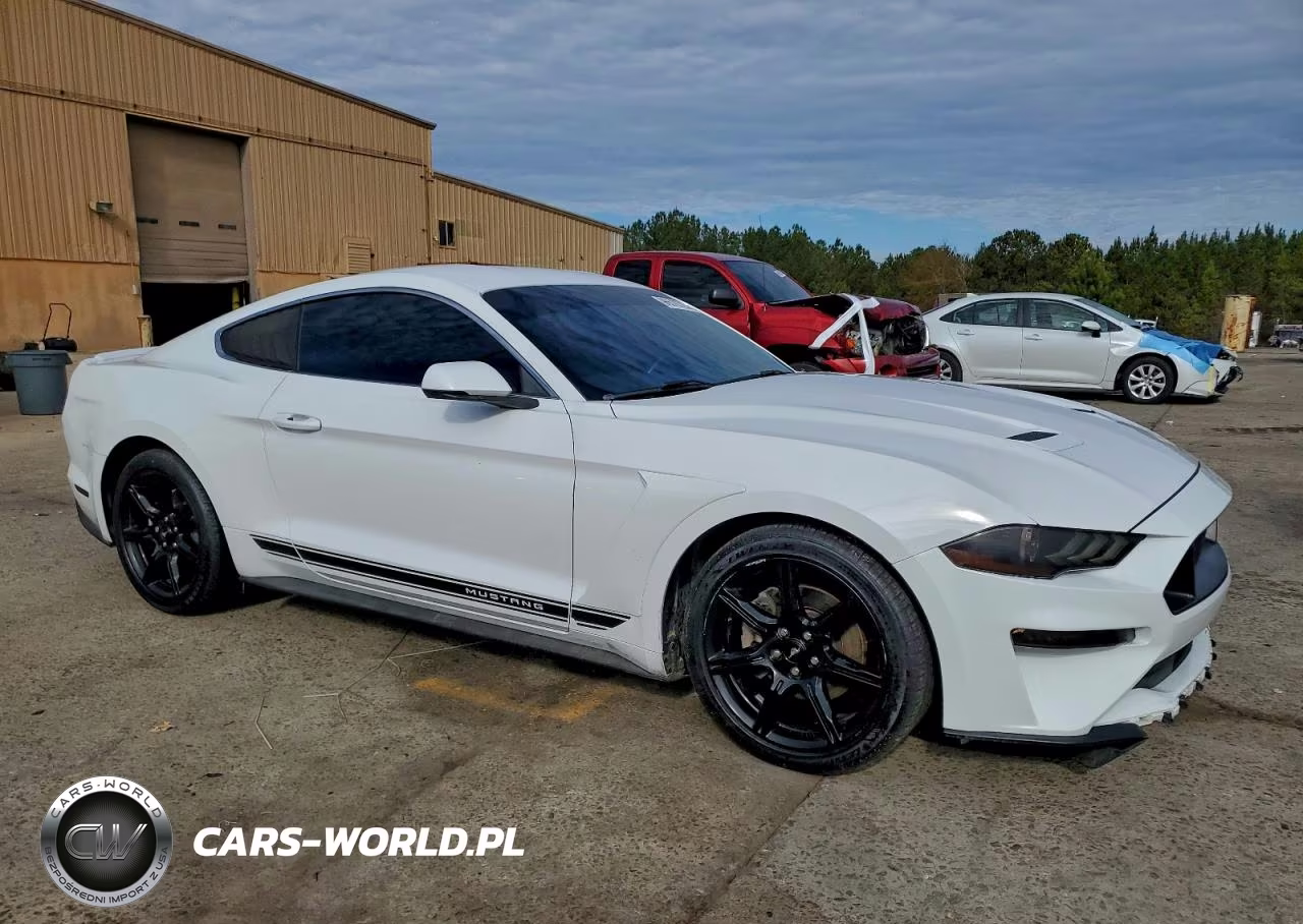 2019 Ford Mustang VIN:1FA6P8TH5K5203774 - 4