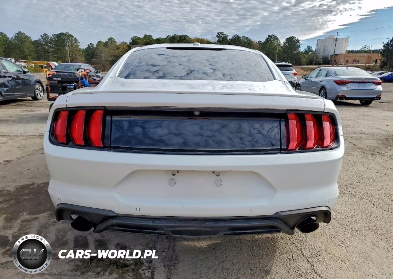 2019 Ford Mustang VIN:1FA6P8TH5K5203774 - 6