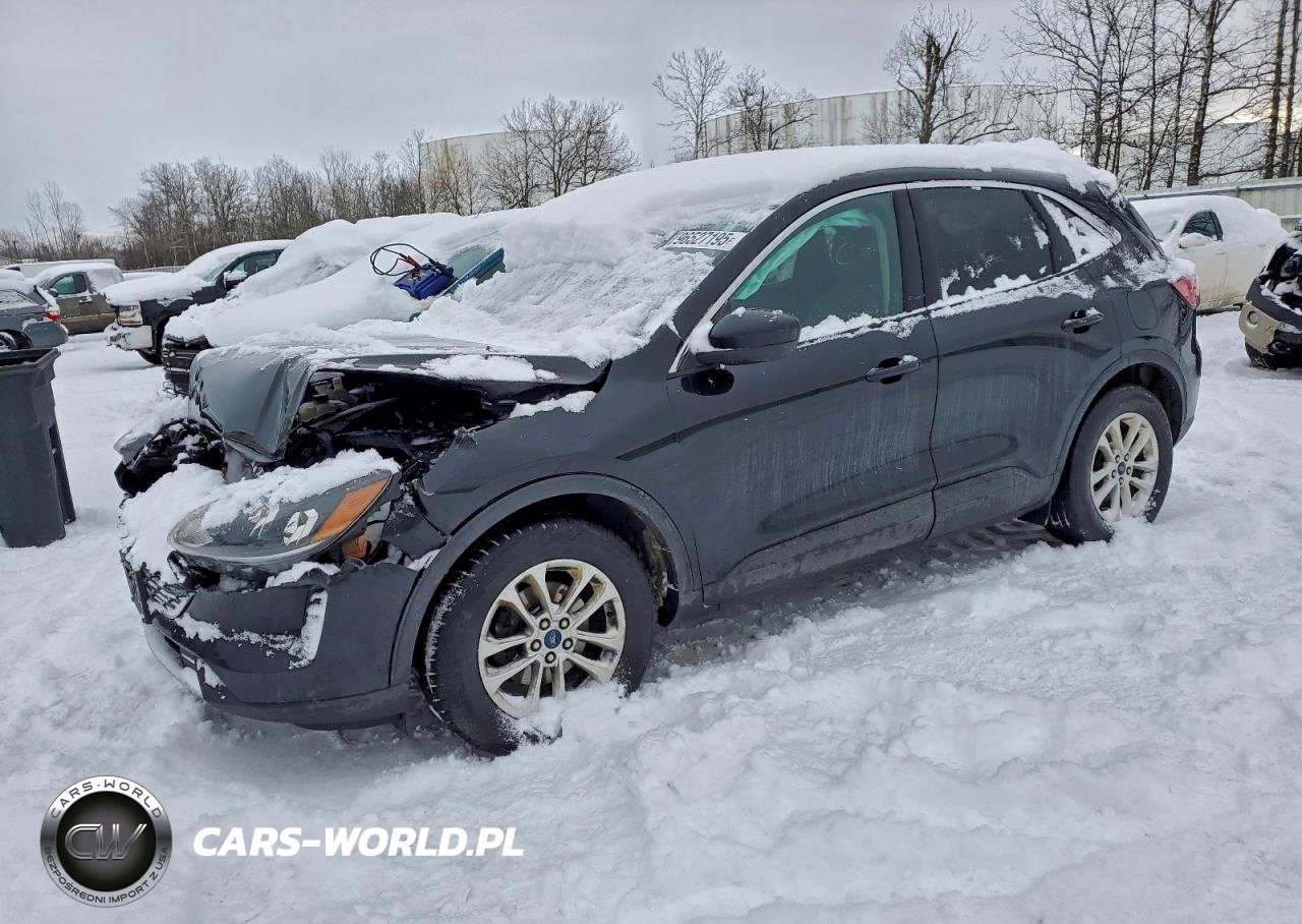 2020 Ford Escape Se