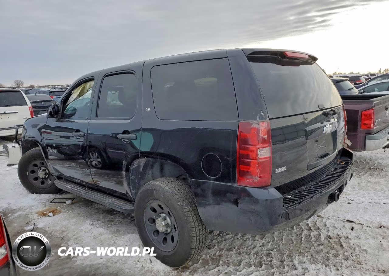 2009 Chevrolet Tahoe K1500 Ls VIN:1GNFK13029R234226 - 2