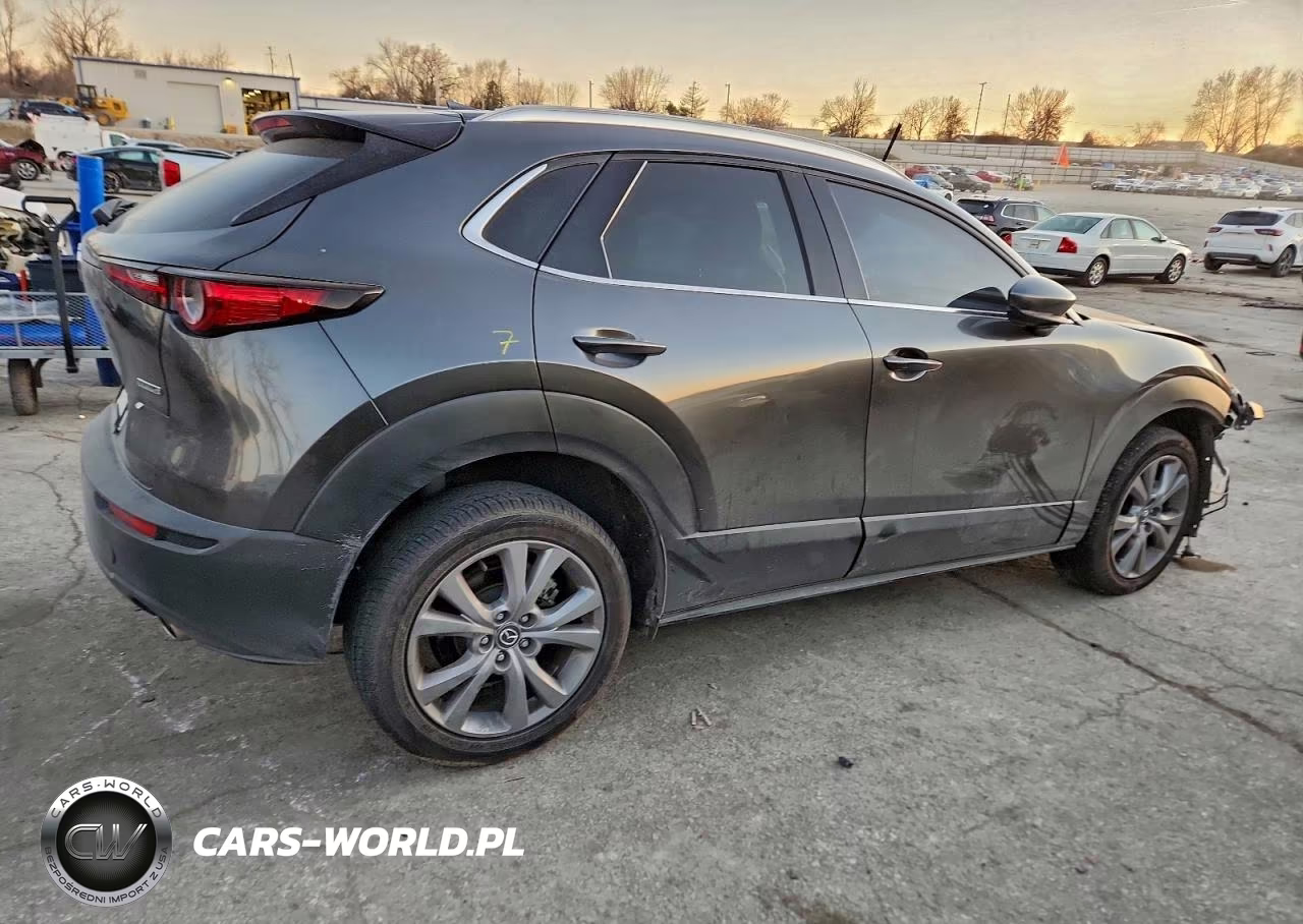 2022 Mazda Cx-30 Premium VIN:3MVDMBDLXNM431602 - 3