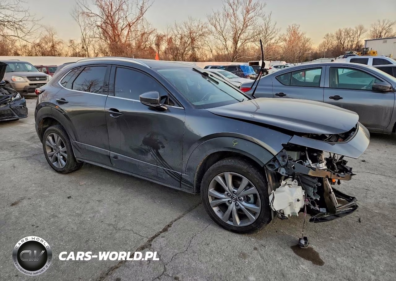 2022 Mazda Cx-30 Premium VIN:3MVDMBDLXNM431602 - 4
