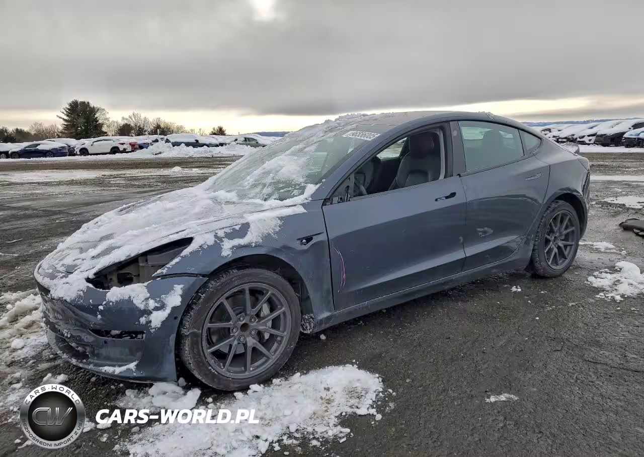 2019 Tesla Model 3