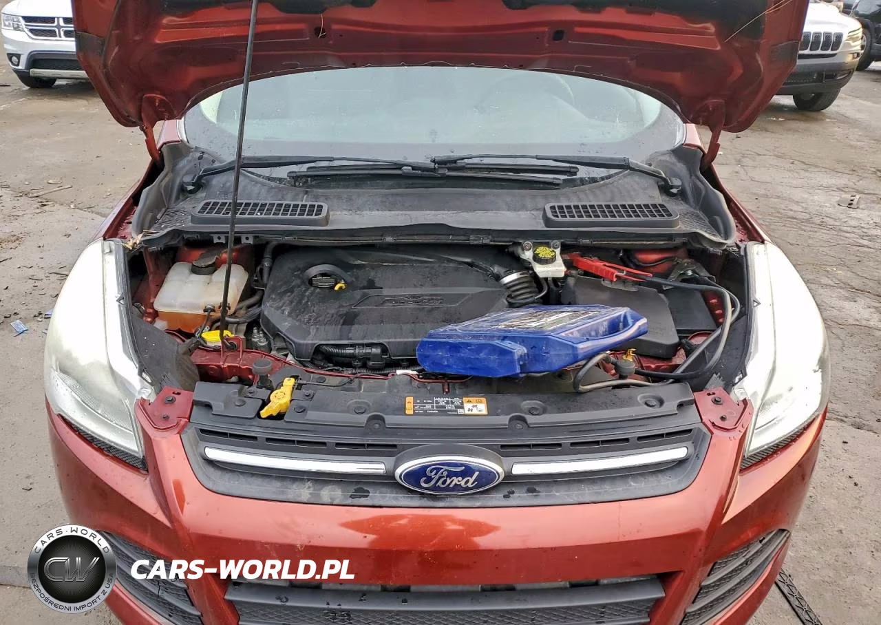 2014 Ford Escape Se VIN:1FMCU0GX3EUD41702 - 11