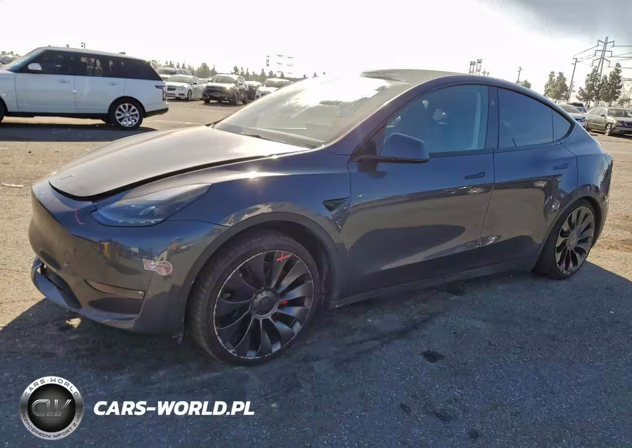 2023 Tesla Model Y