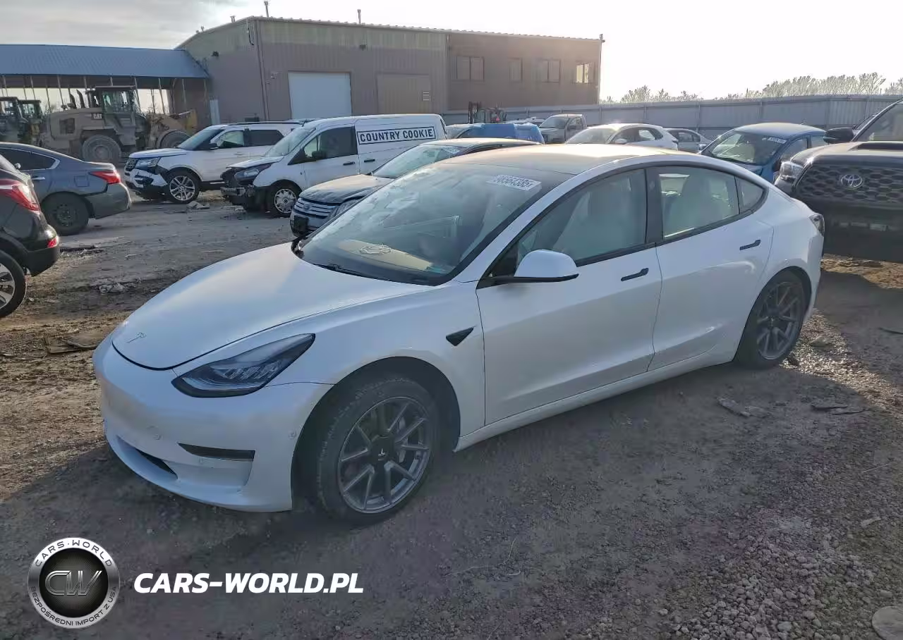2021 Tesla Model 3
