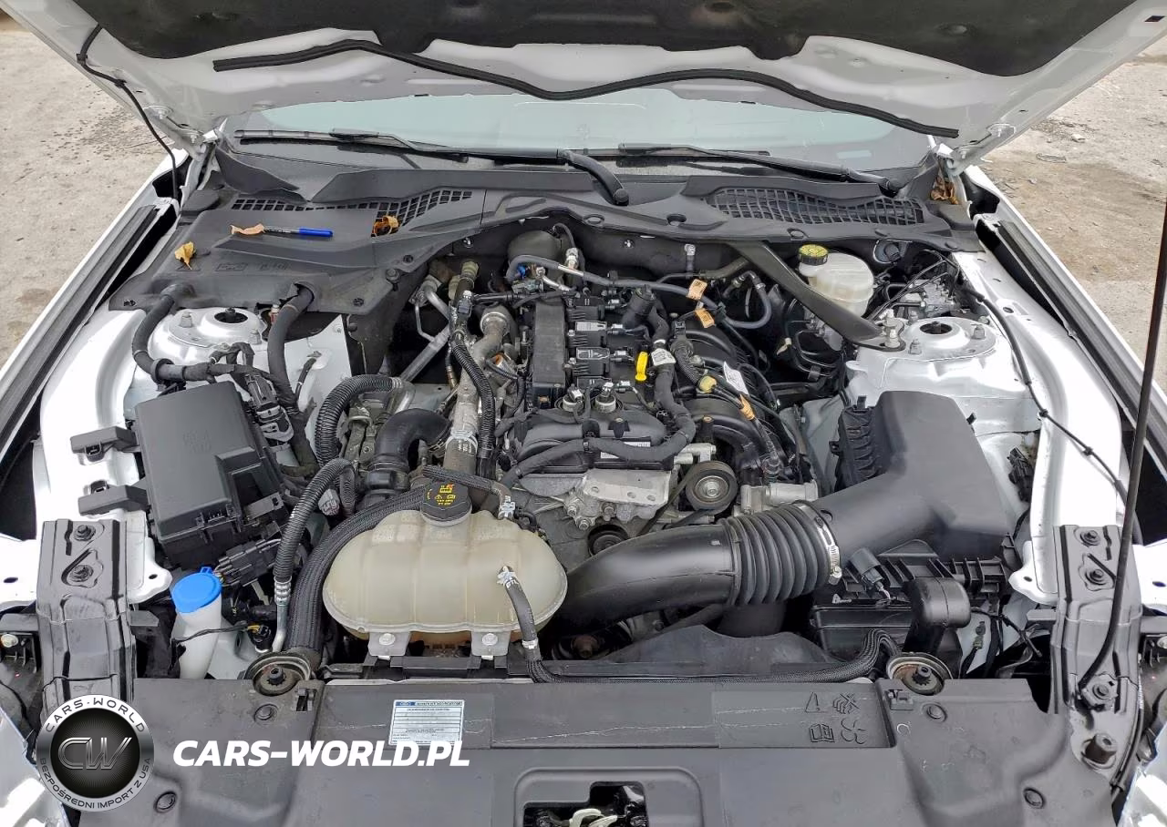 2023 Ford Mustang VIN:1FATP8UH2P5107898 - 11