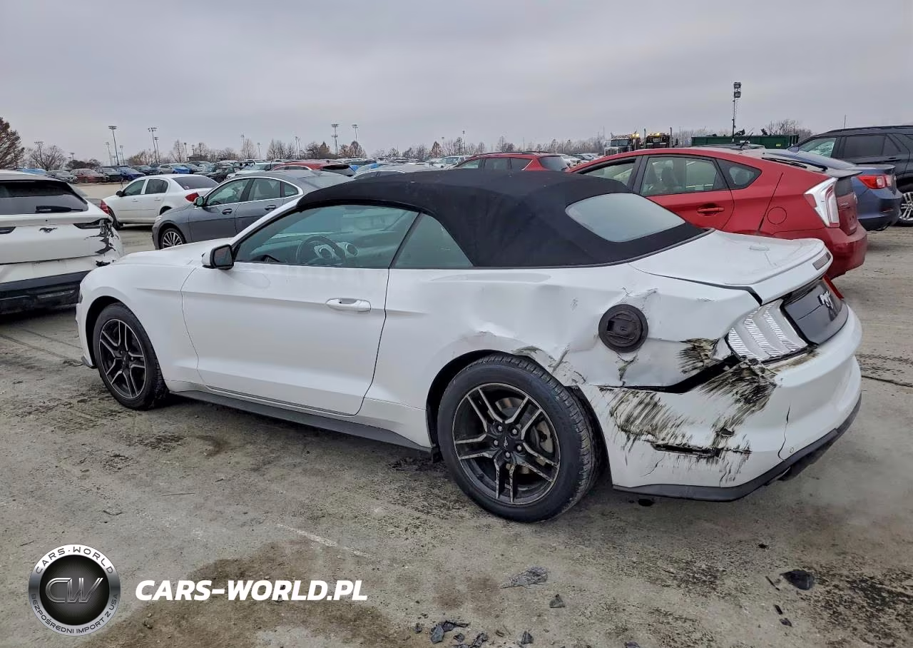 2023 Ford Mustang VIN:1FATP8UH2P5107898 - 2