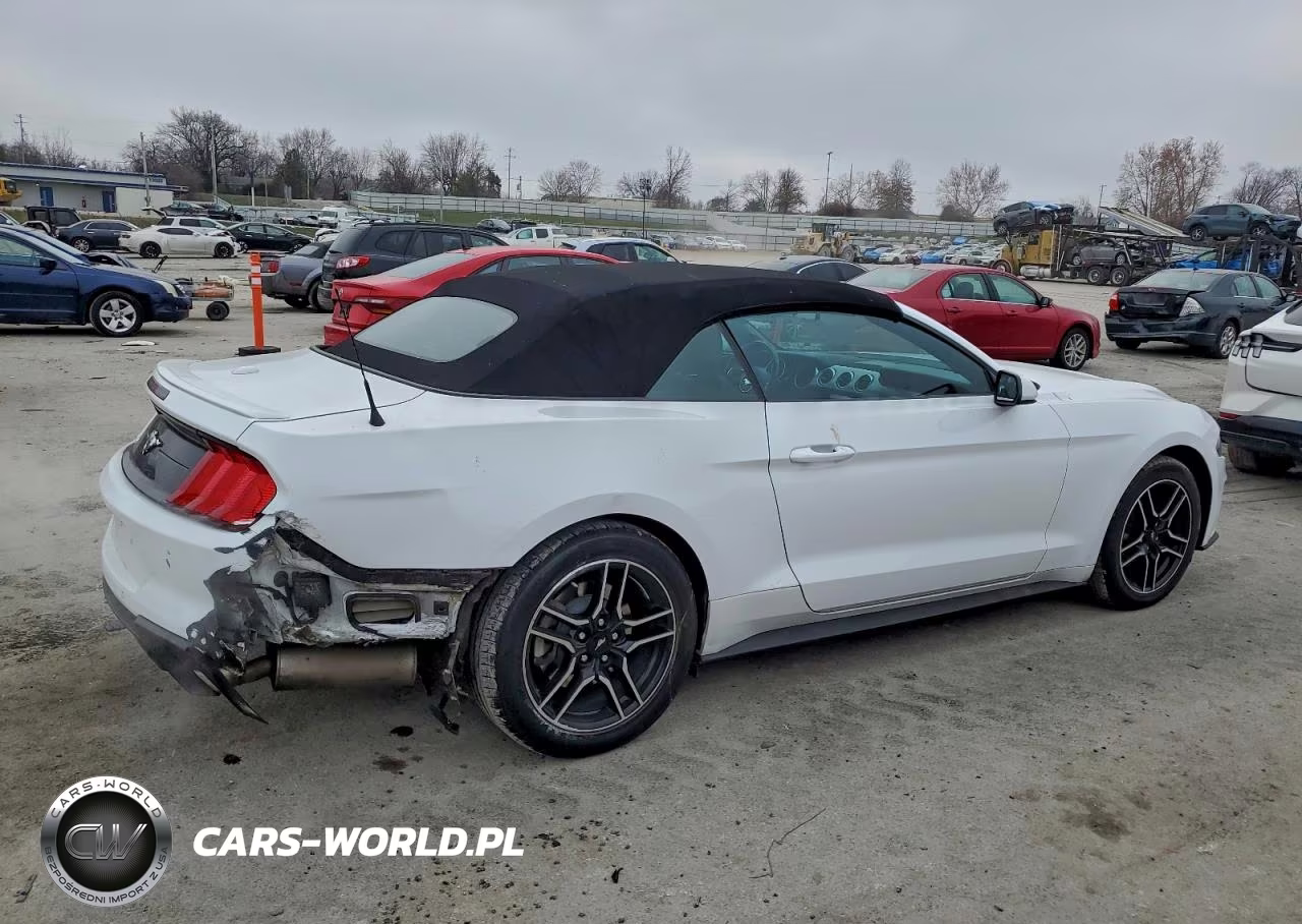 2023 Ford Mustang VIN:1FATP8UH2P5107898 - 3