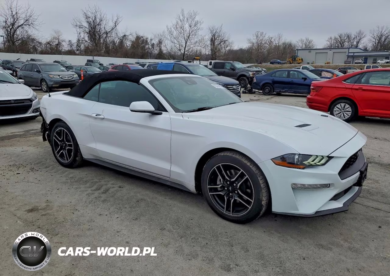 2023 Ford Mustang VIN:1FATP8UH2P5107898 - 4
