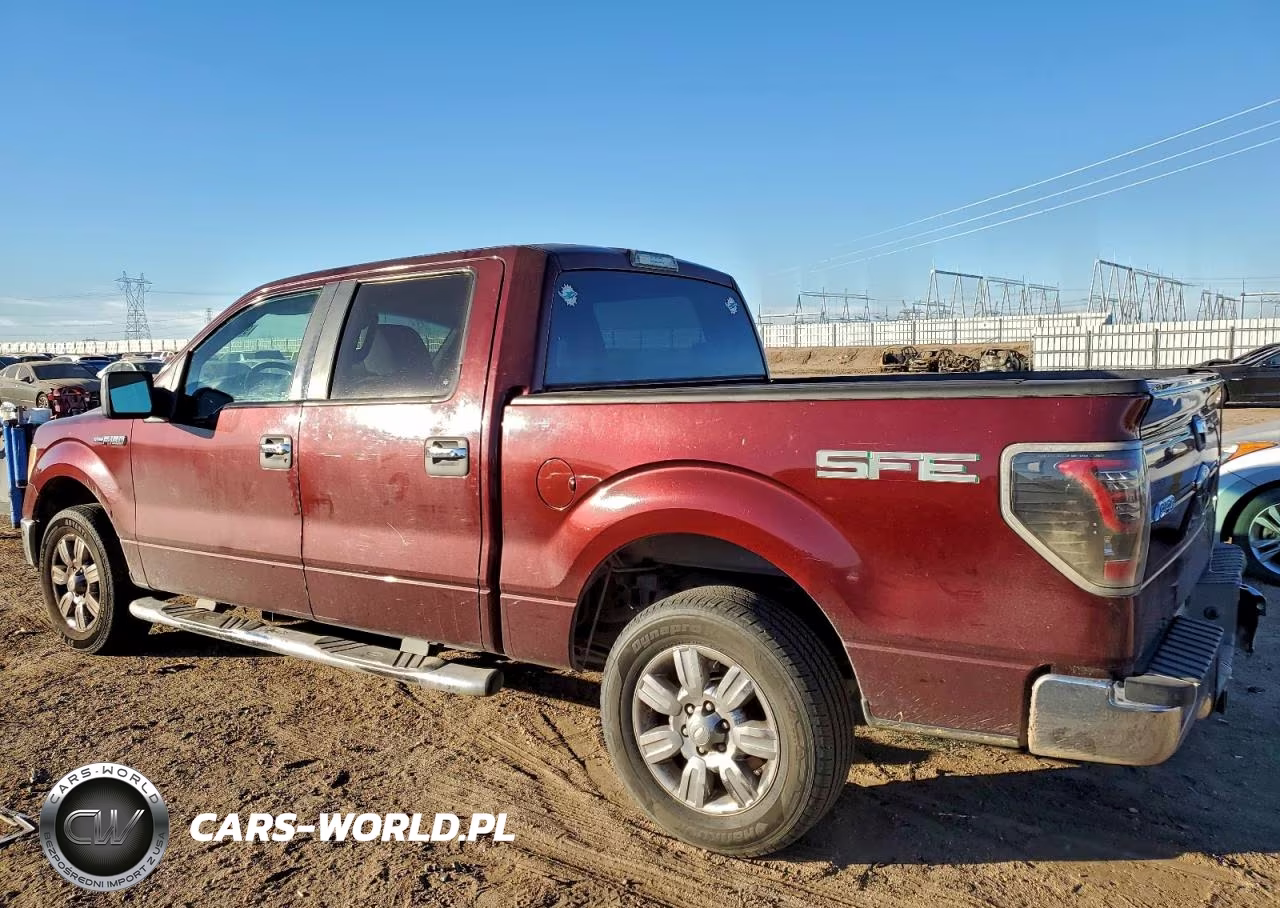 2009 Ford F150 Supercrew VIN:1FTRW12879FA89977 - 2