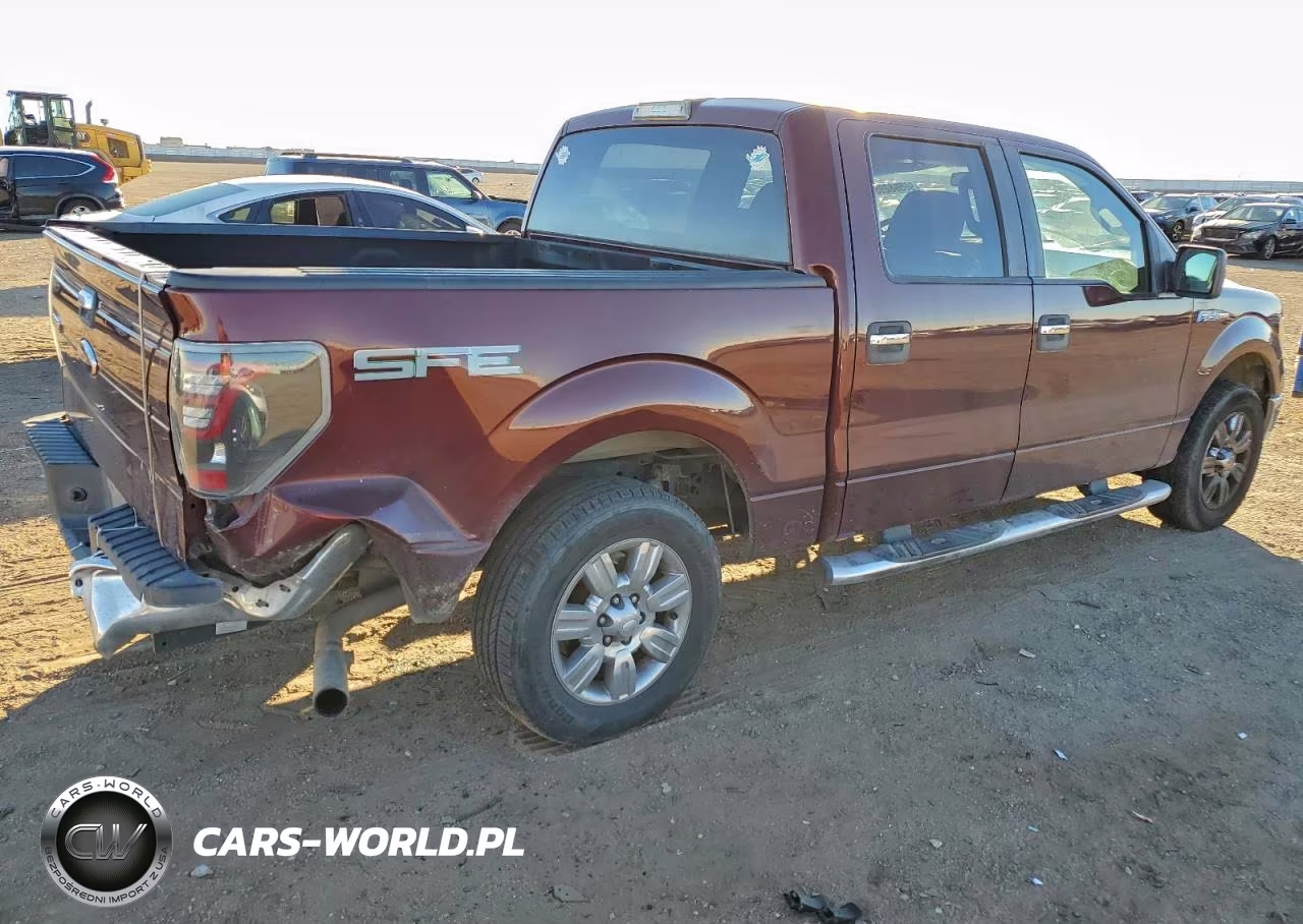 2009 Ford F150 Supercrew VIN:1FTRW12879FA89977 - 3
