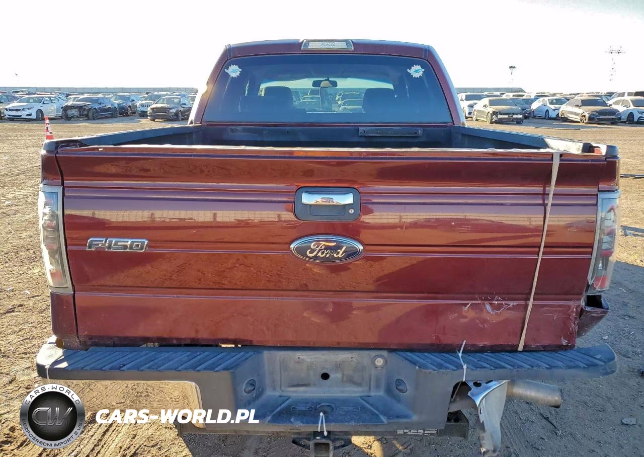 2009 Ford F150 Supercrew VIN:1FTRW12879FA89977 - 6