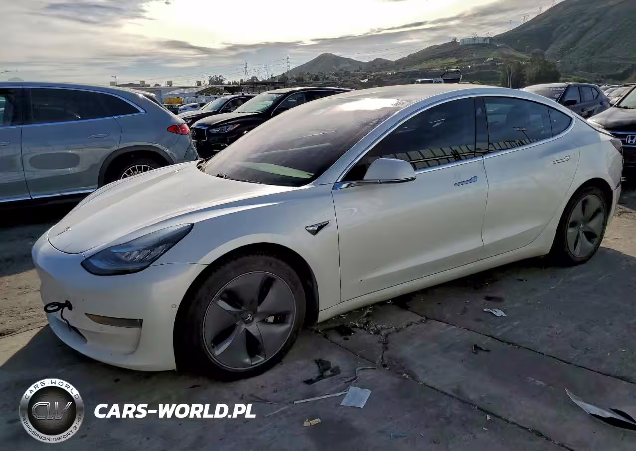 2019 Tesla Model 3