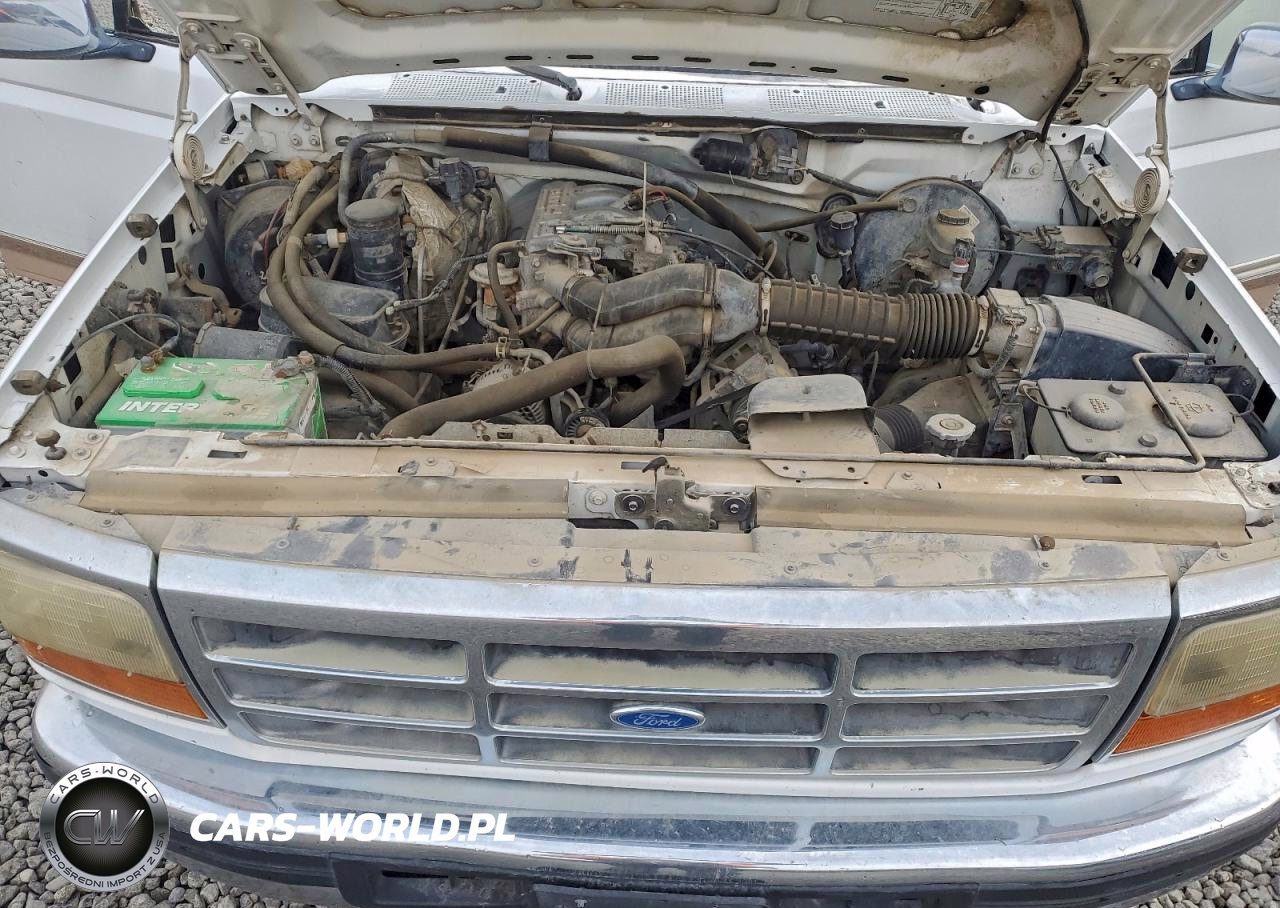 1996 Ford F-150 VIN:1FTEF14N8TLA97550 - 11