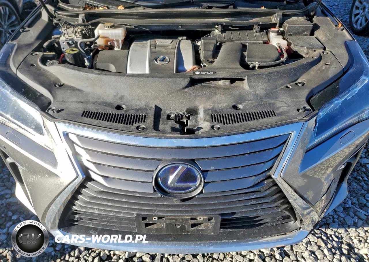 2017 Lexus Rx 450H Base VIN:2T2BGMCA4HC018000 - 12