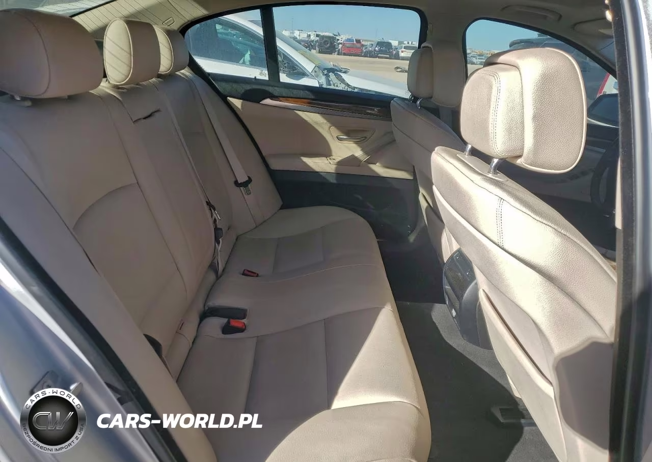 2013 BMW 528 Xi VIN:WBAXH5C58DD115050 - 10